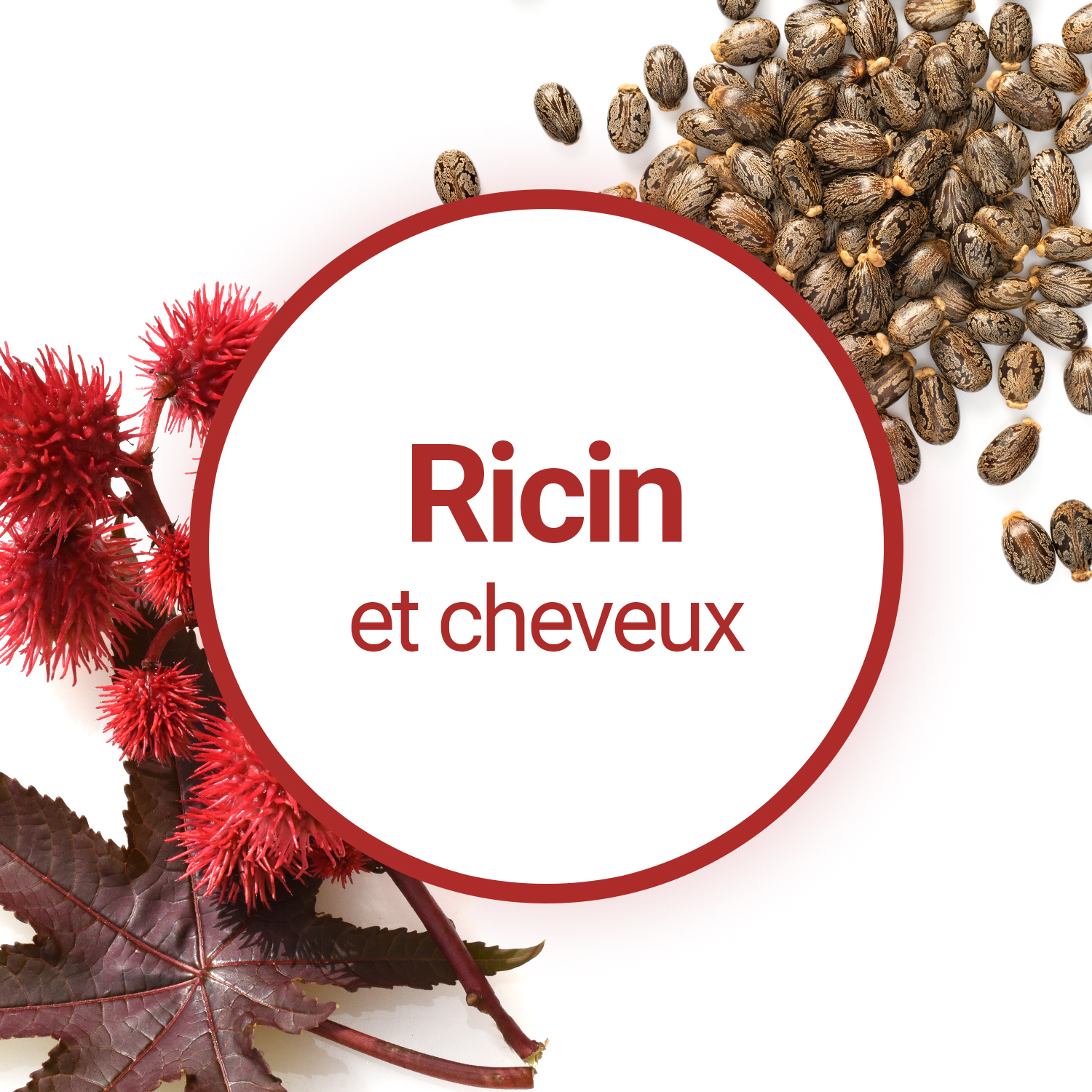 Guide d'utilisation de l'huile de Ricin pour vos cheveux