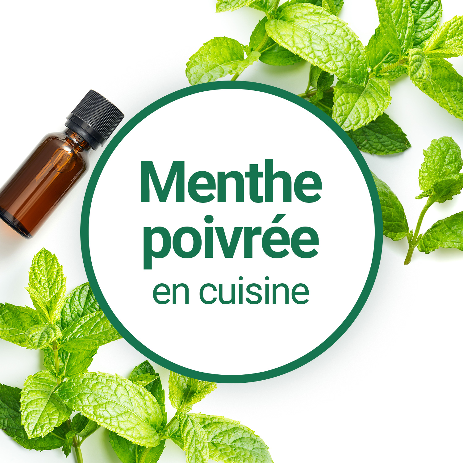 Thé menthe poivrée facile et rapide : découvrez les recettes de Cuisine  Actuelle