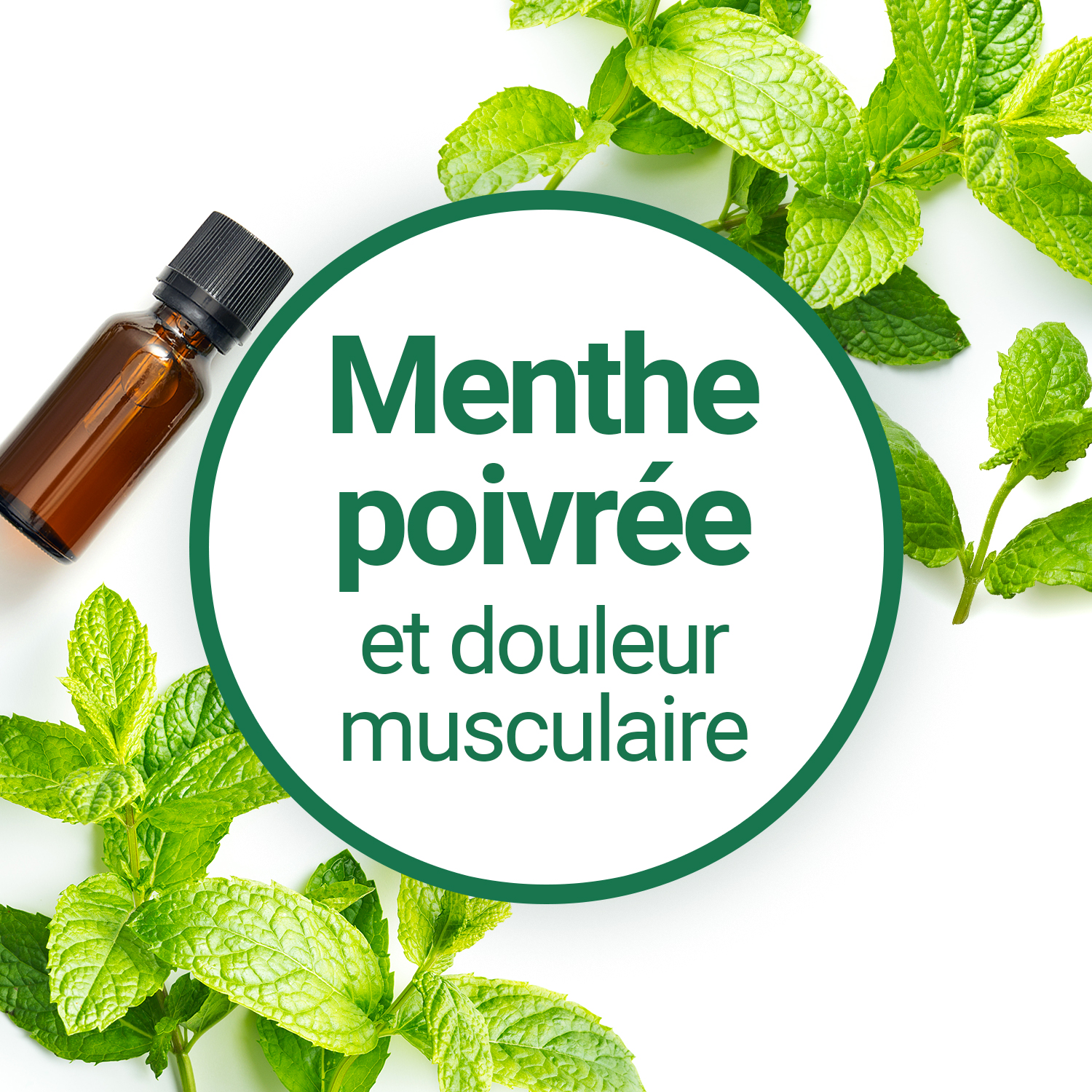 🍃💪 Roll-on Menthe Poivrée : Soulagement naturel des douleurs –