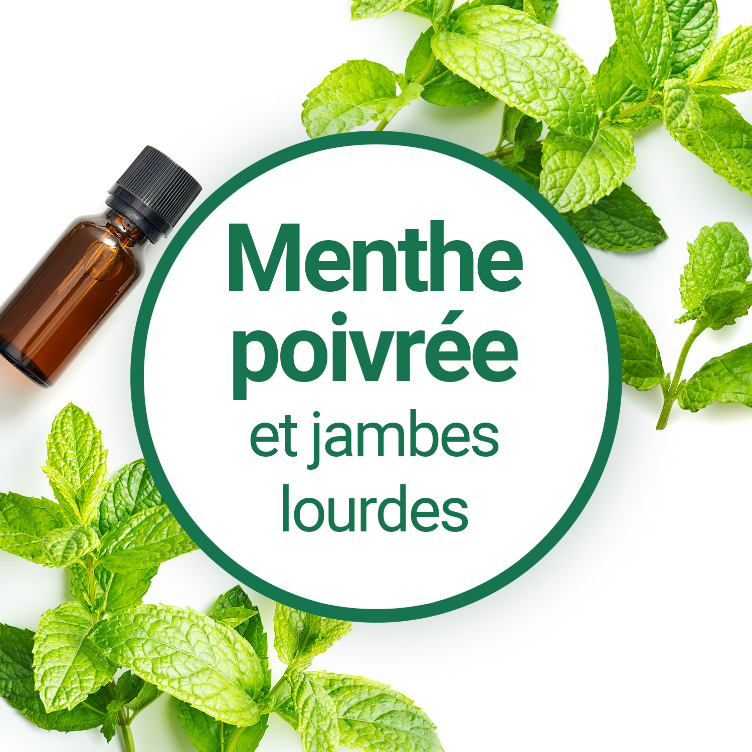 L'huile essentielle de Menthe Poivrée en cas de sensation de ...