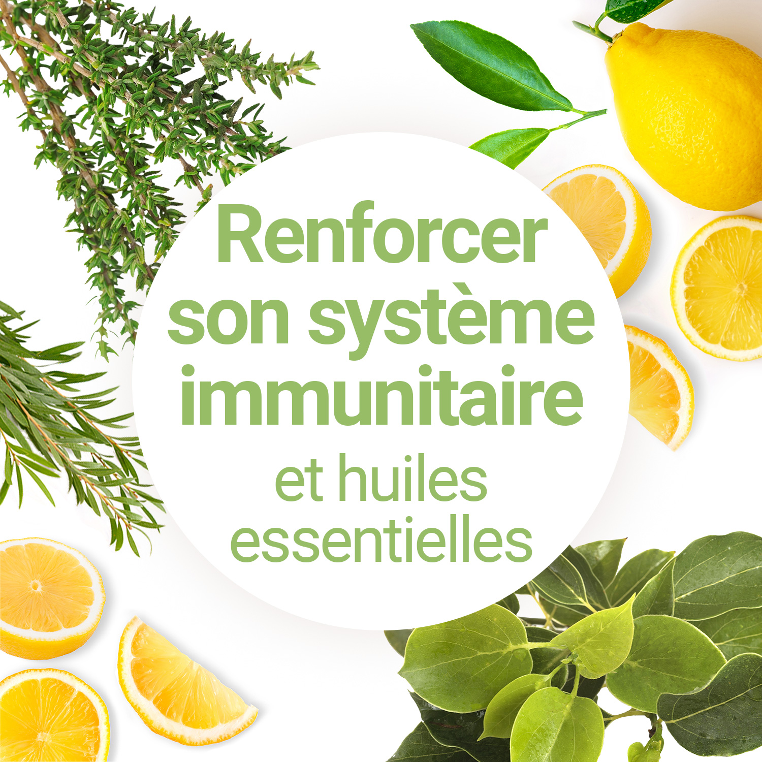 Comment renforcer son système immunitaire avec les huiles ...