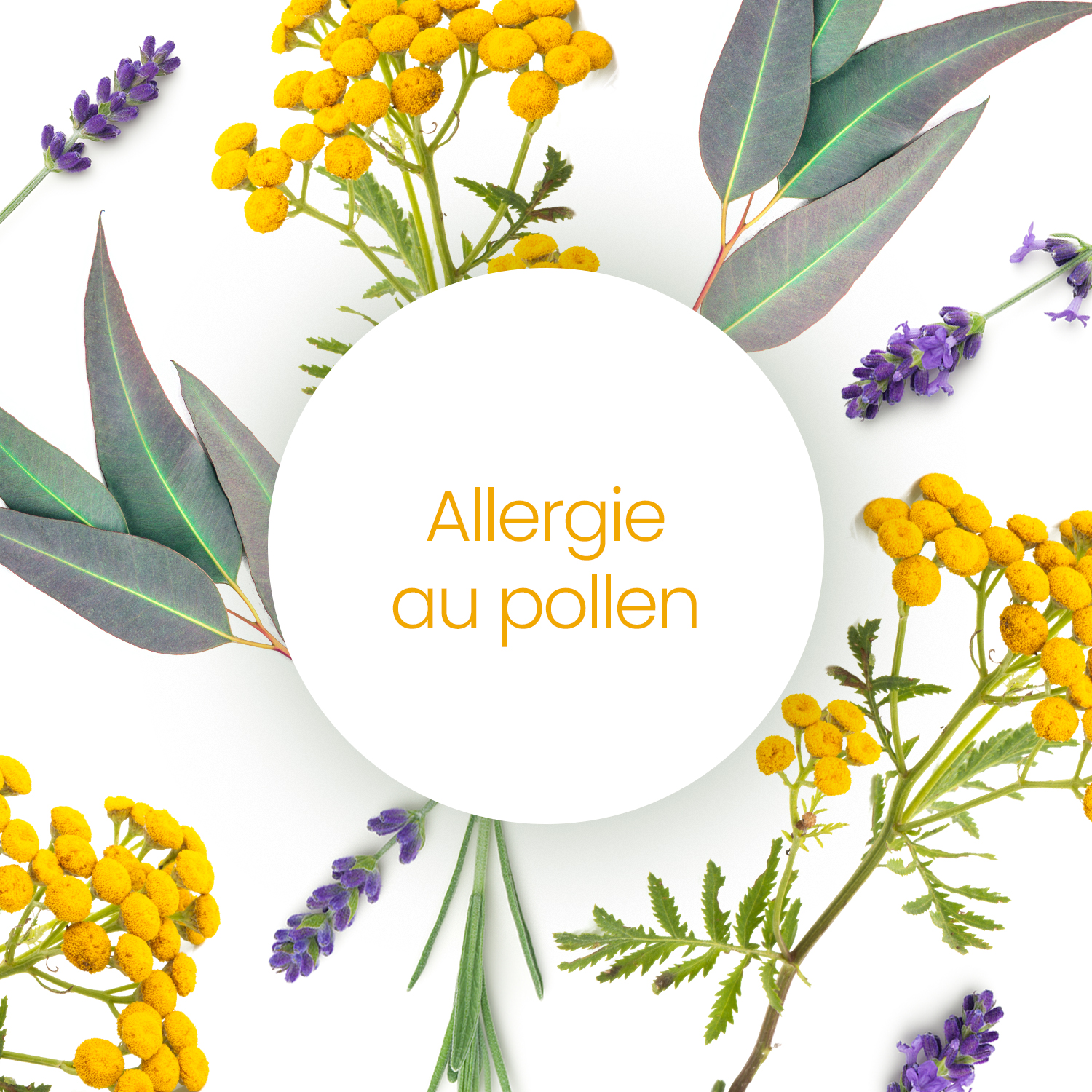 Comment soulager naturellement les allergies au pollen avec les huiles ...