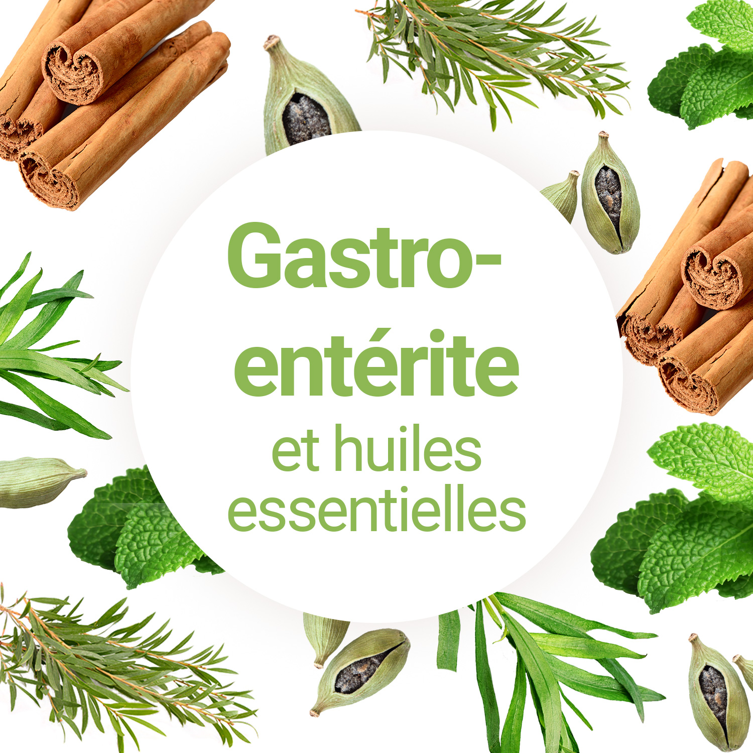 Soigner la gastro avec huiles essentielles et remèdes naturels