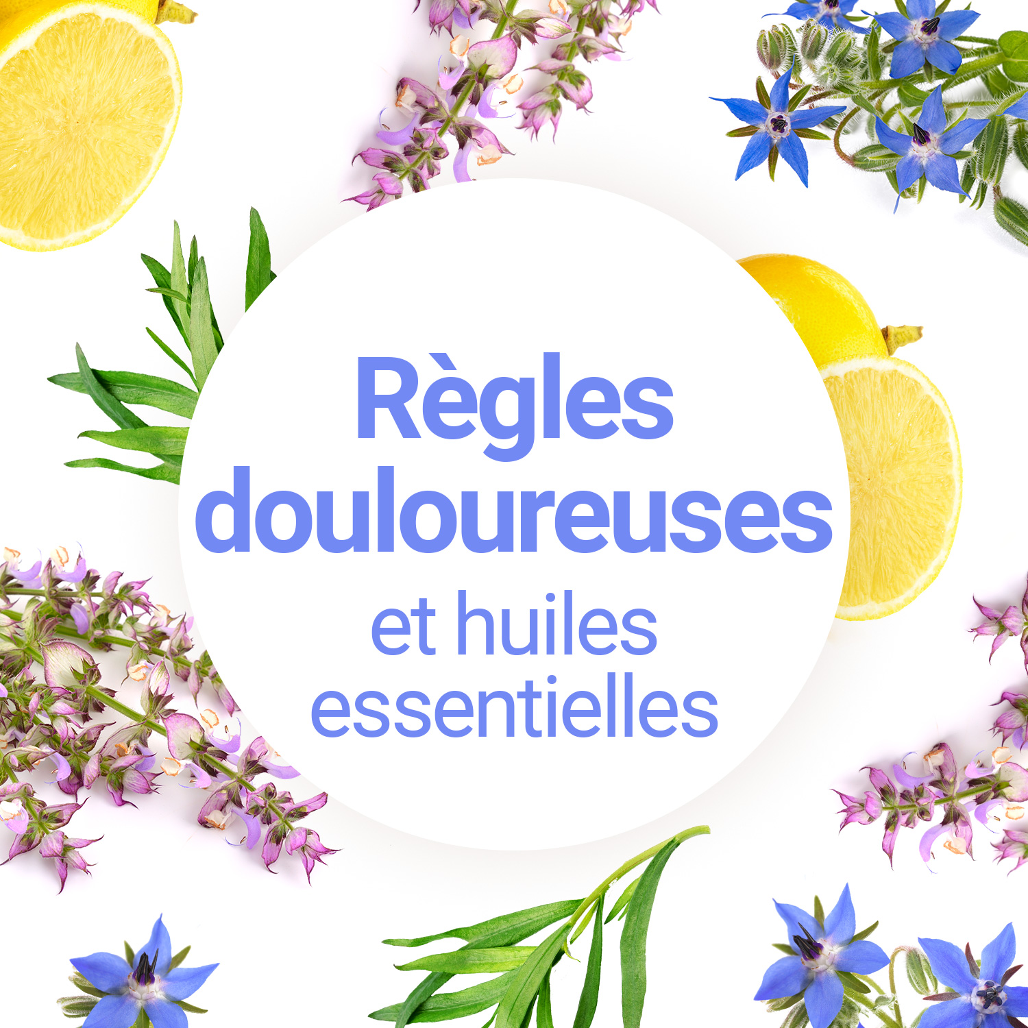 L'Huile Essentielle de Gaulthérie contre les Règles Douloureuses - Olyaris