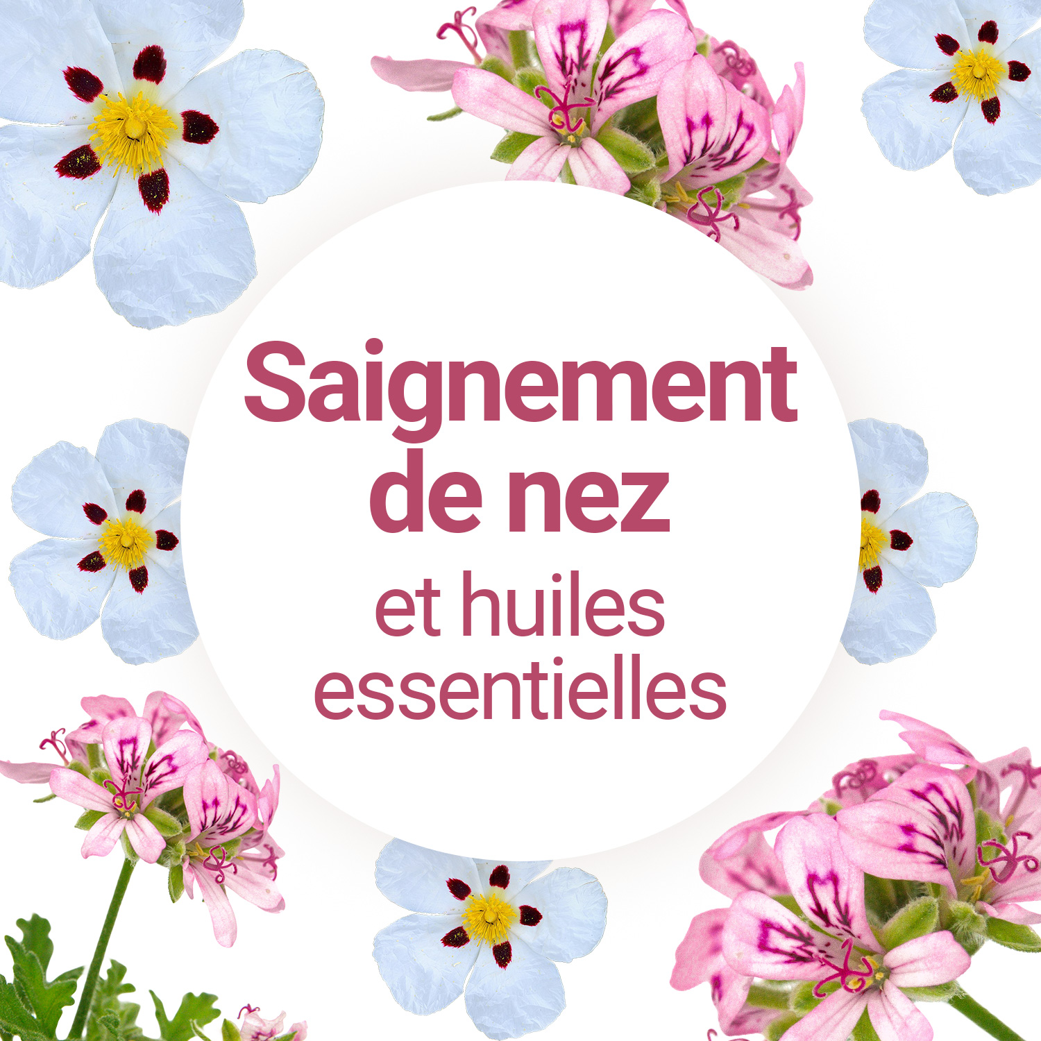 Les produits pour stopper les saignements du nez