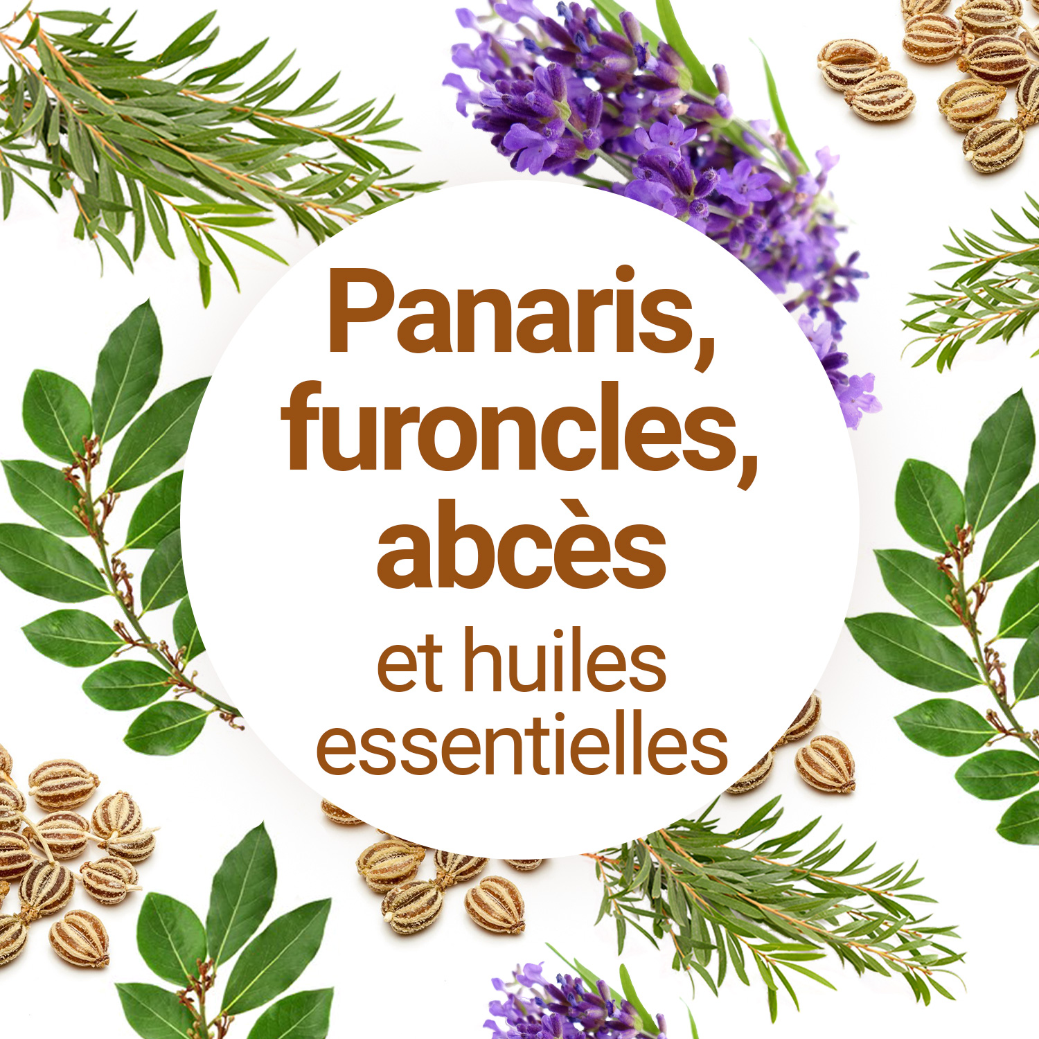 Traitements naturels pour panaris et furoncles à base d'huiles essentielles  - Aroma-Zone