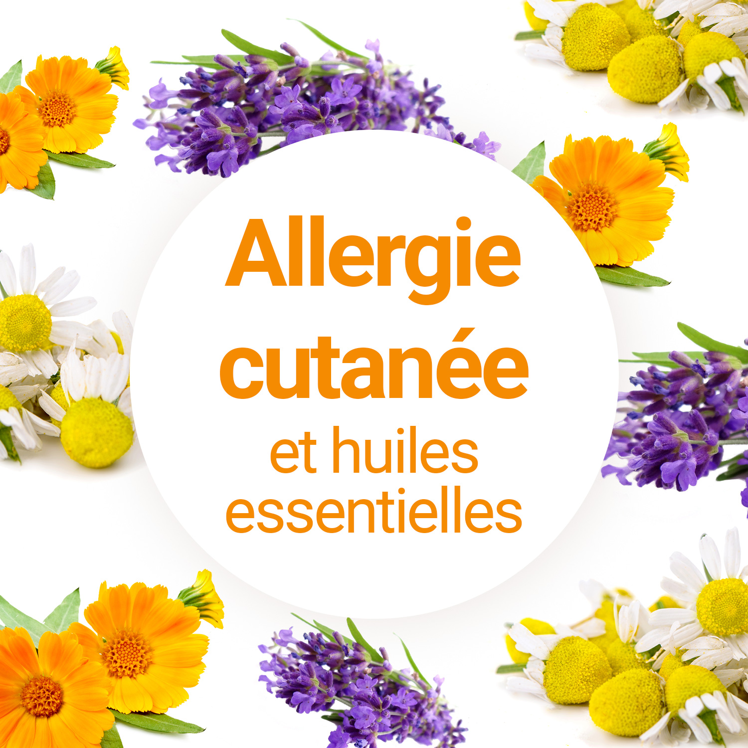 Huiles essentielles anti-allergies
