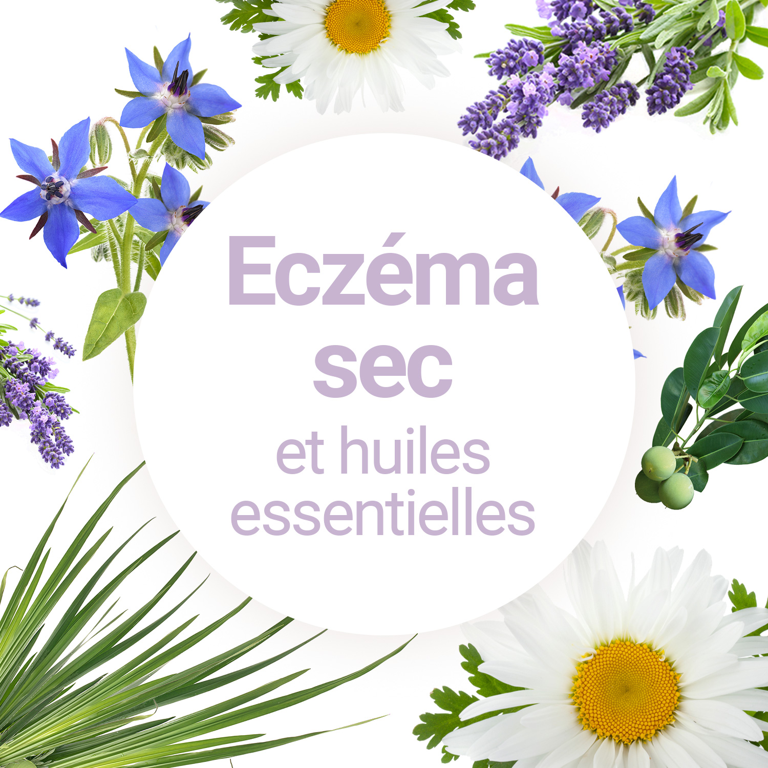 Comment se débarrasser de l'eczéma sec avec les huiles essentielles ?