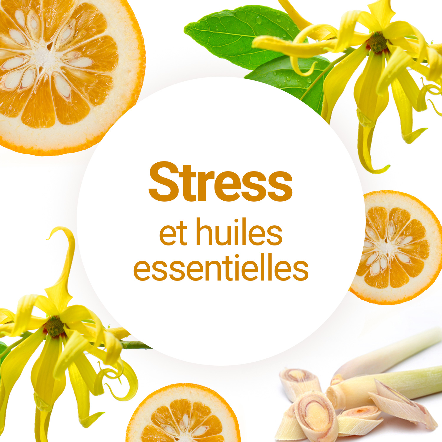 Conseil aromathérapie personnalisé 15 MINUTES