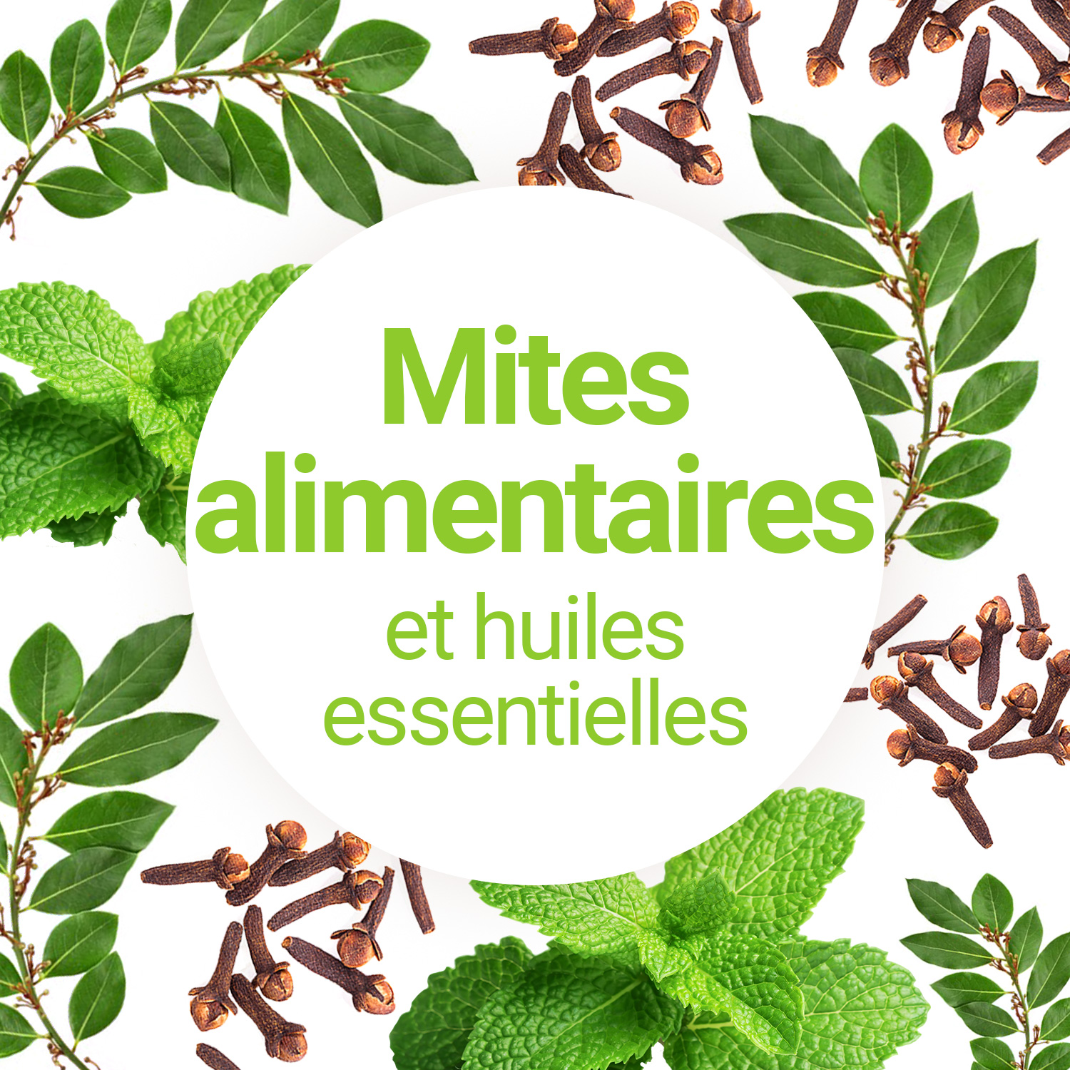 Les huiles essentielles pour éradiquer les mites alimentaires