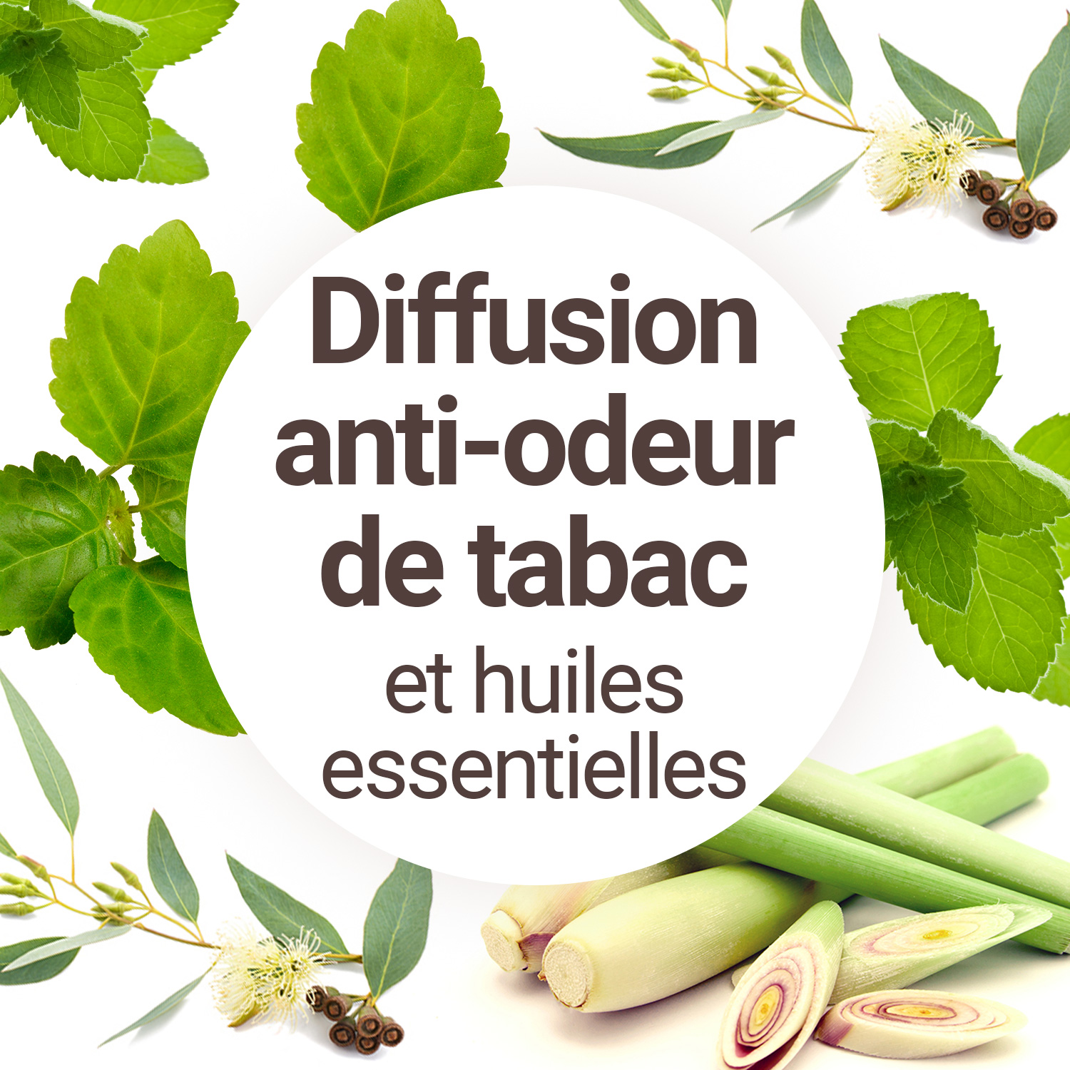 Utiliser les huiles essentielles pour combattre les odeurs de tabac