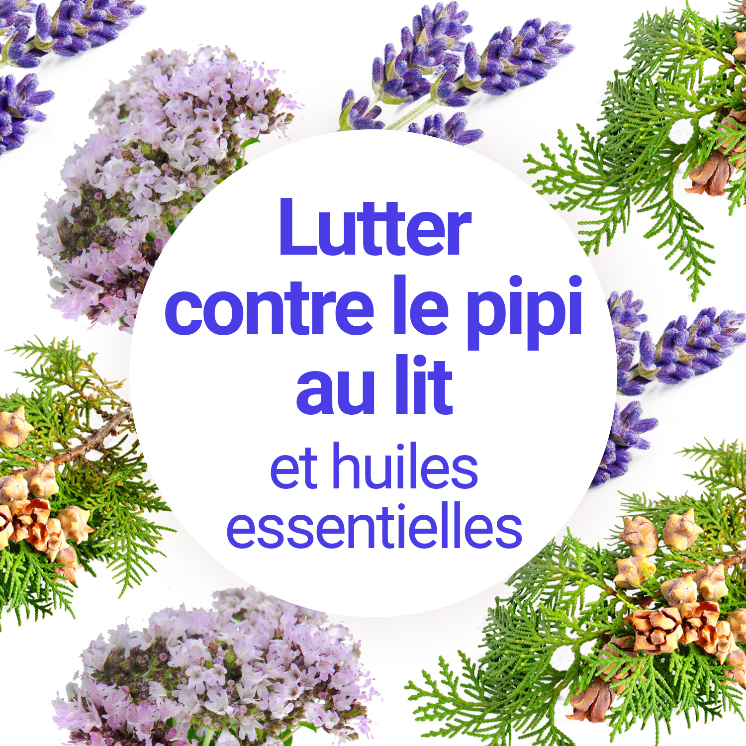 Comment utiliser les huiles essentielles pour lutter contre le