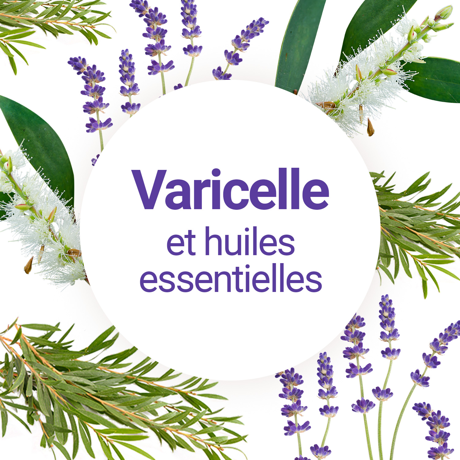 Huile Essentielle de Menthe Poivrée contre les Poux - Olyaris