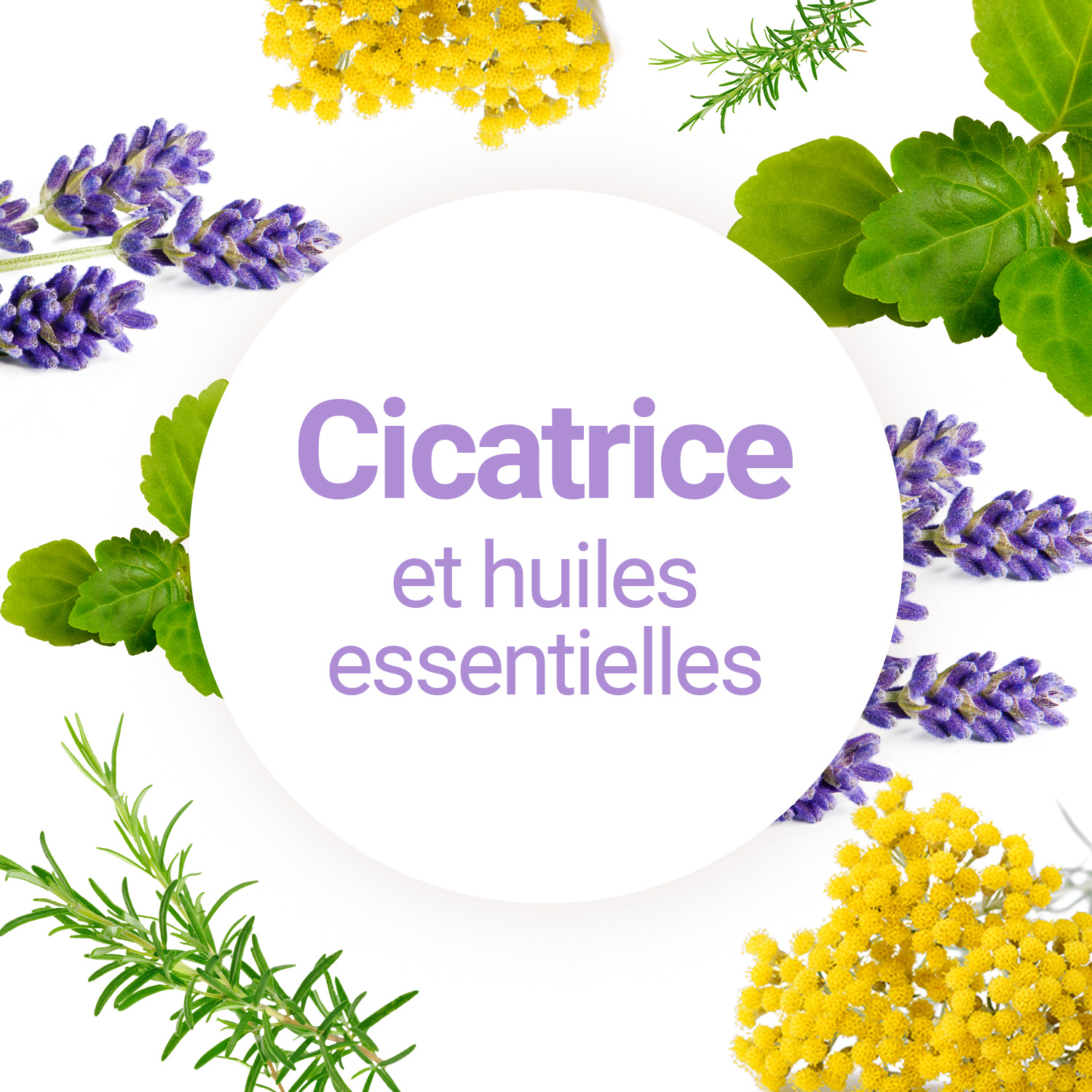 Comment effacer les cicatrices avec les huiles essentielles ?