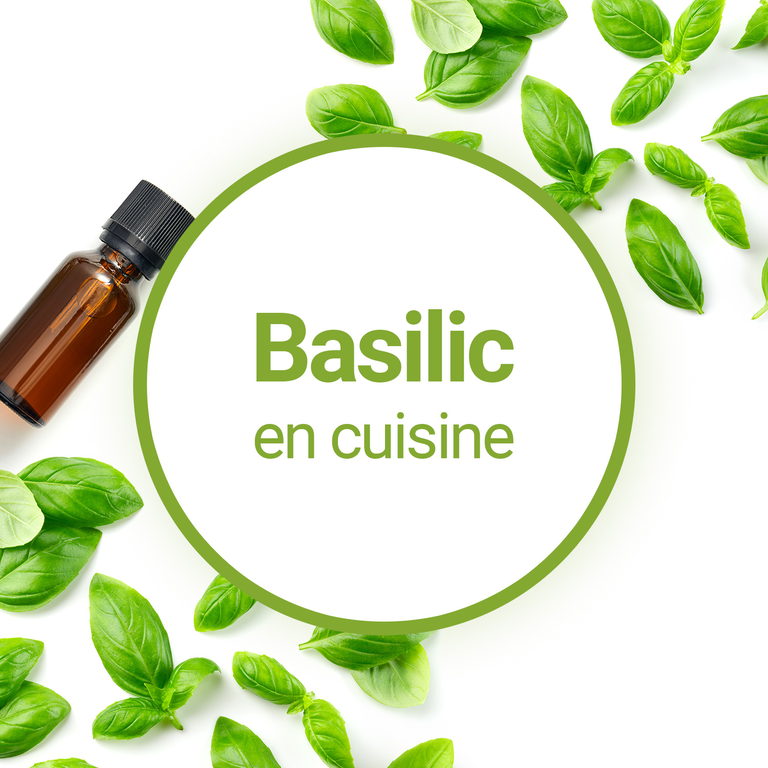 Basilic Huile essentielle bio alimentaire pour la cuisine