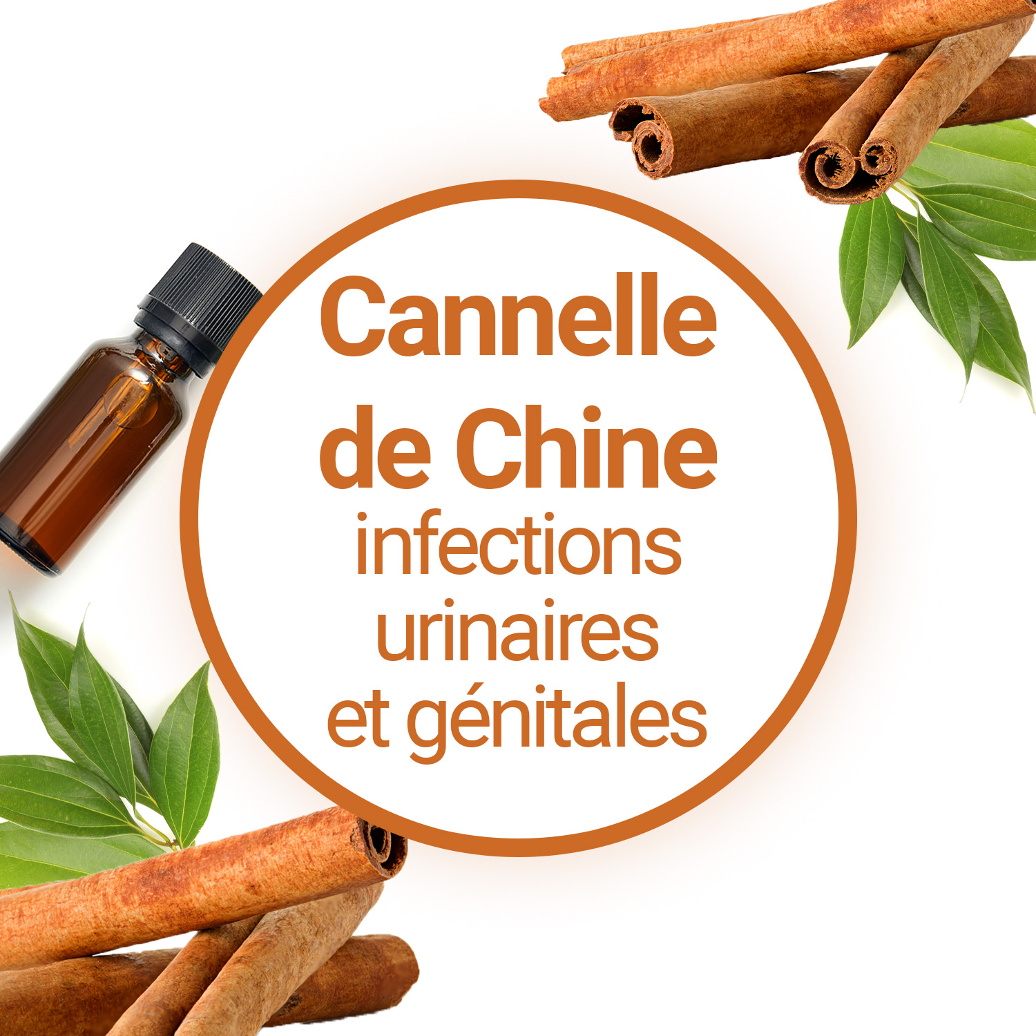 L'huile essentielle de Cannelle pour combattre les infections ...