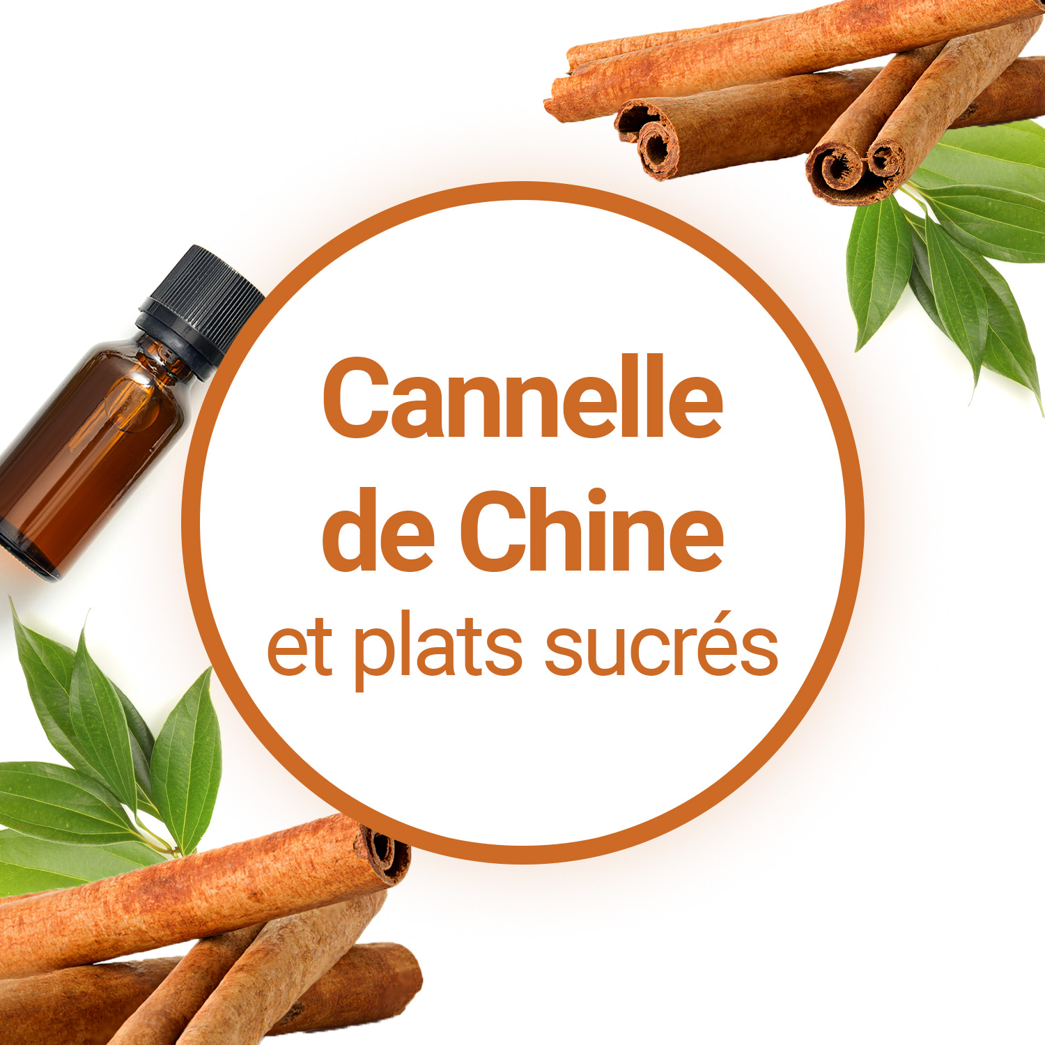 Cannelle en poudre - Achat, utilisation, recettes