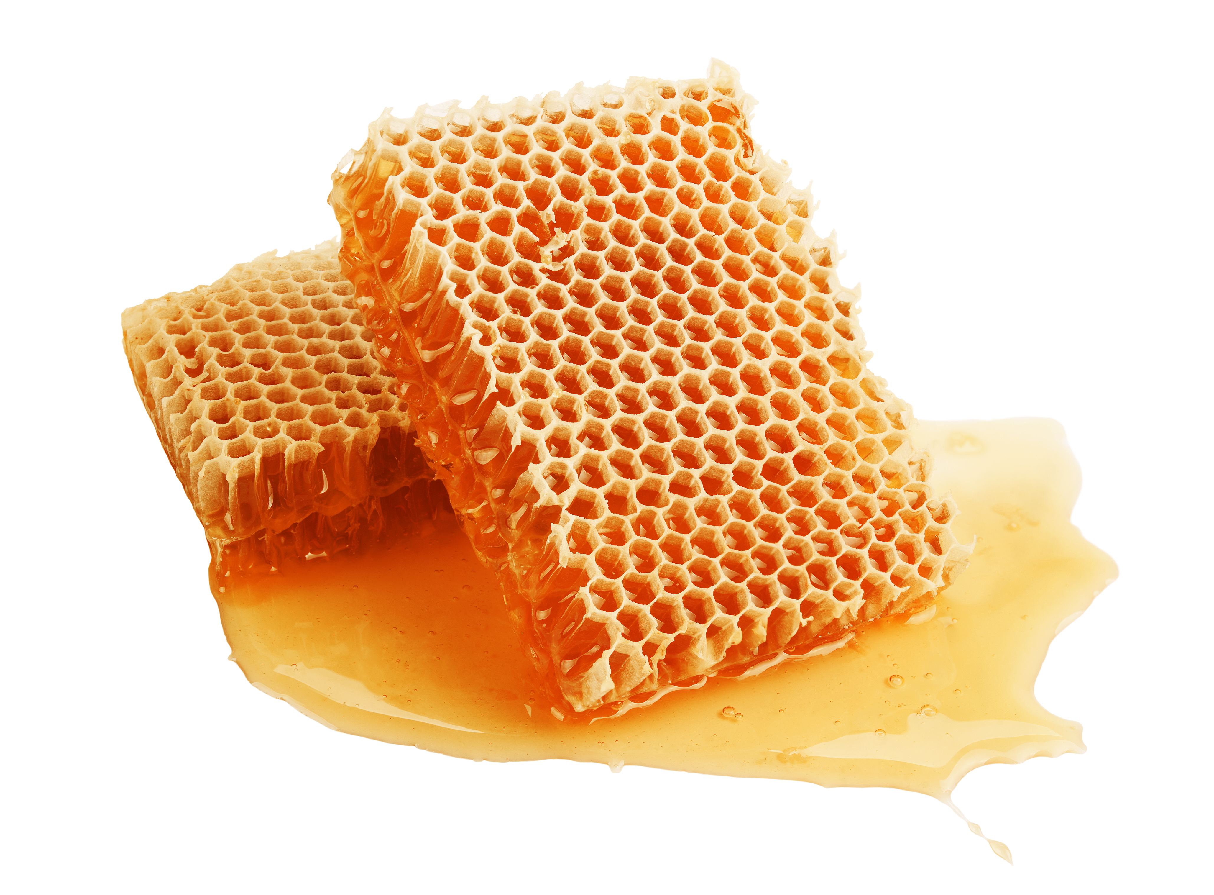 Propriétés thérapeutiques du miel : antiseptique, cicatrisant et  anti-inflammatoire