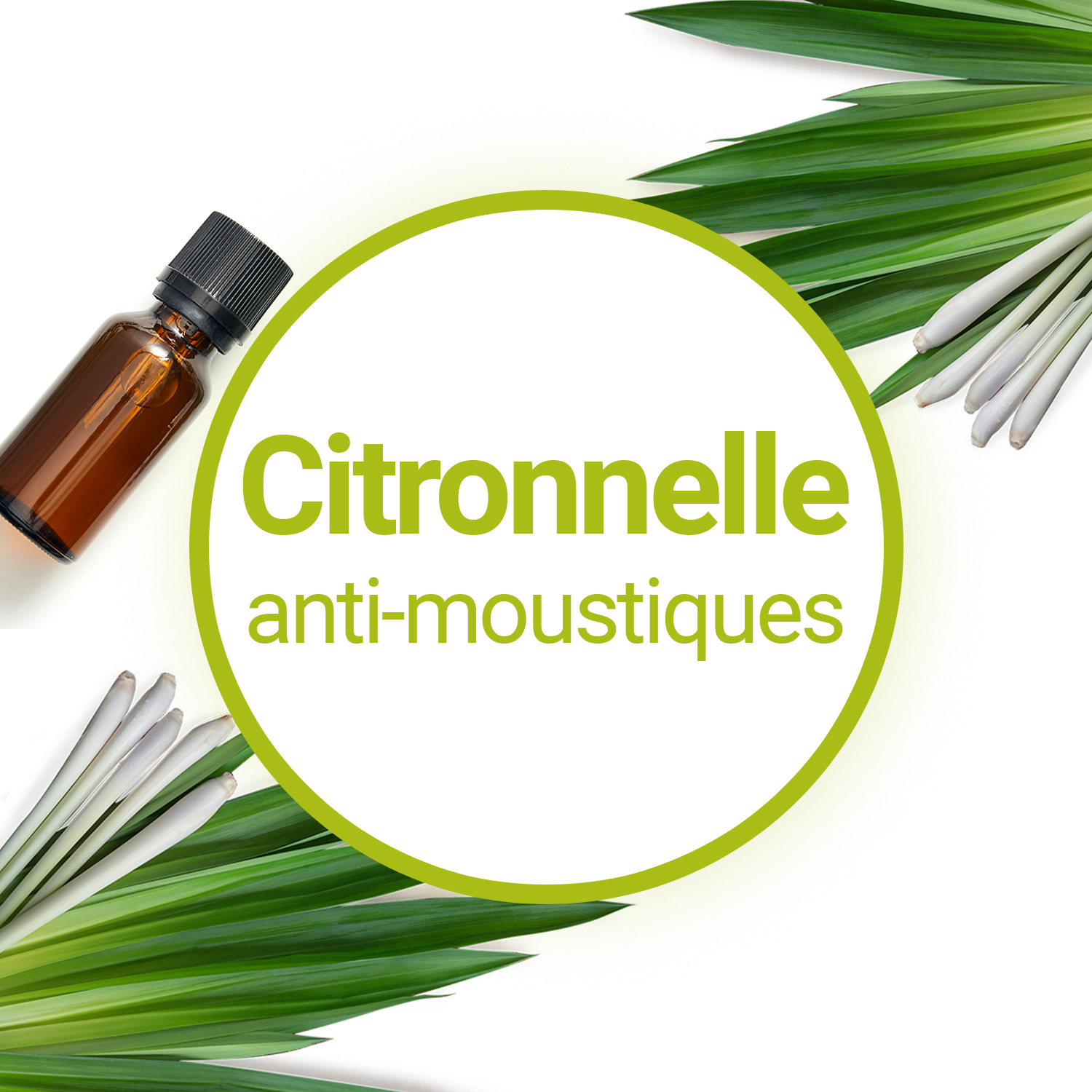 Prise anti moustique - Avec citronnelle, formulation puissante, - Nuisipro