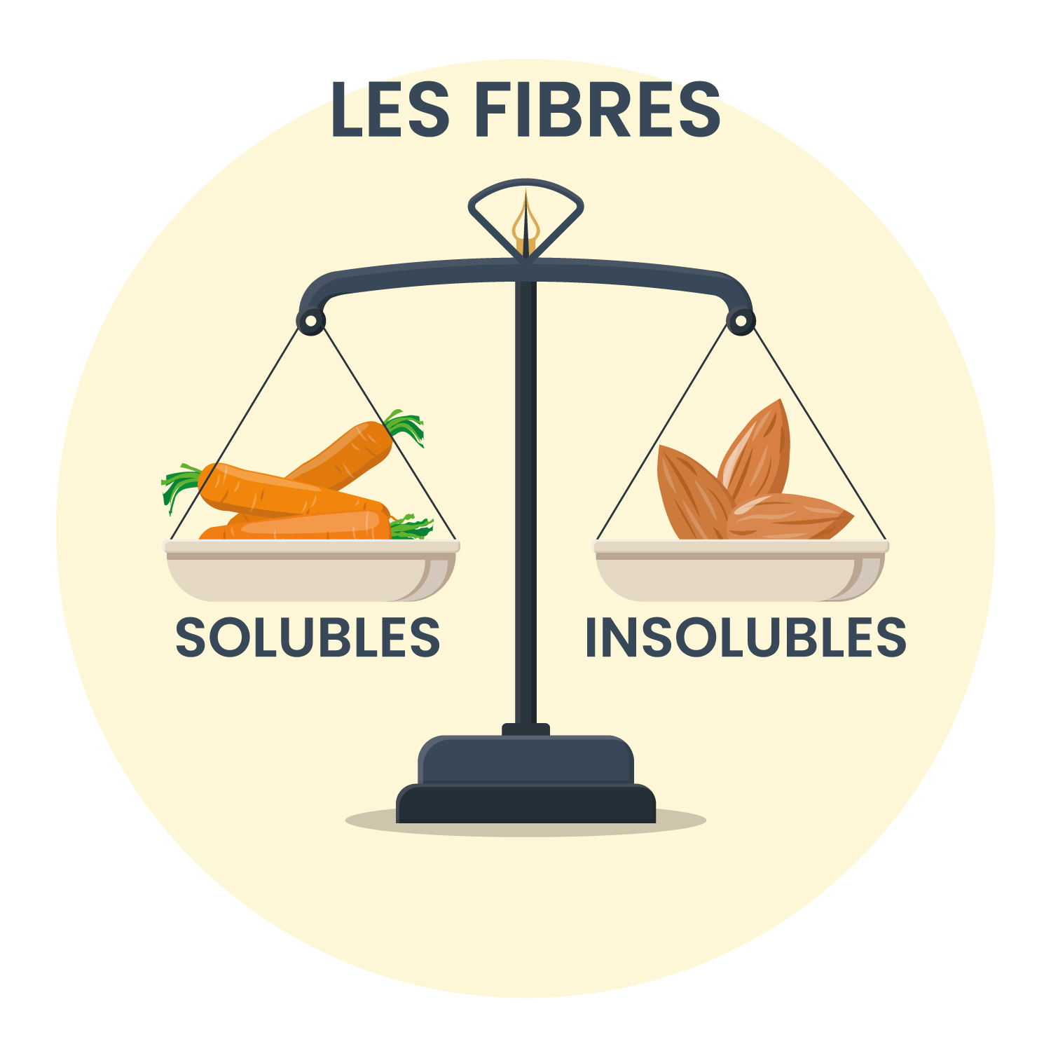 Les fibres alimentaires: Solubles? Insolubles? Pour qui? Pourquoi?