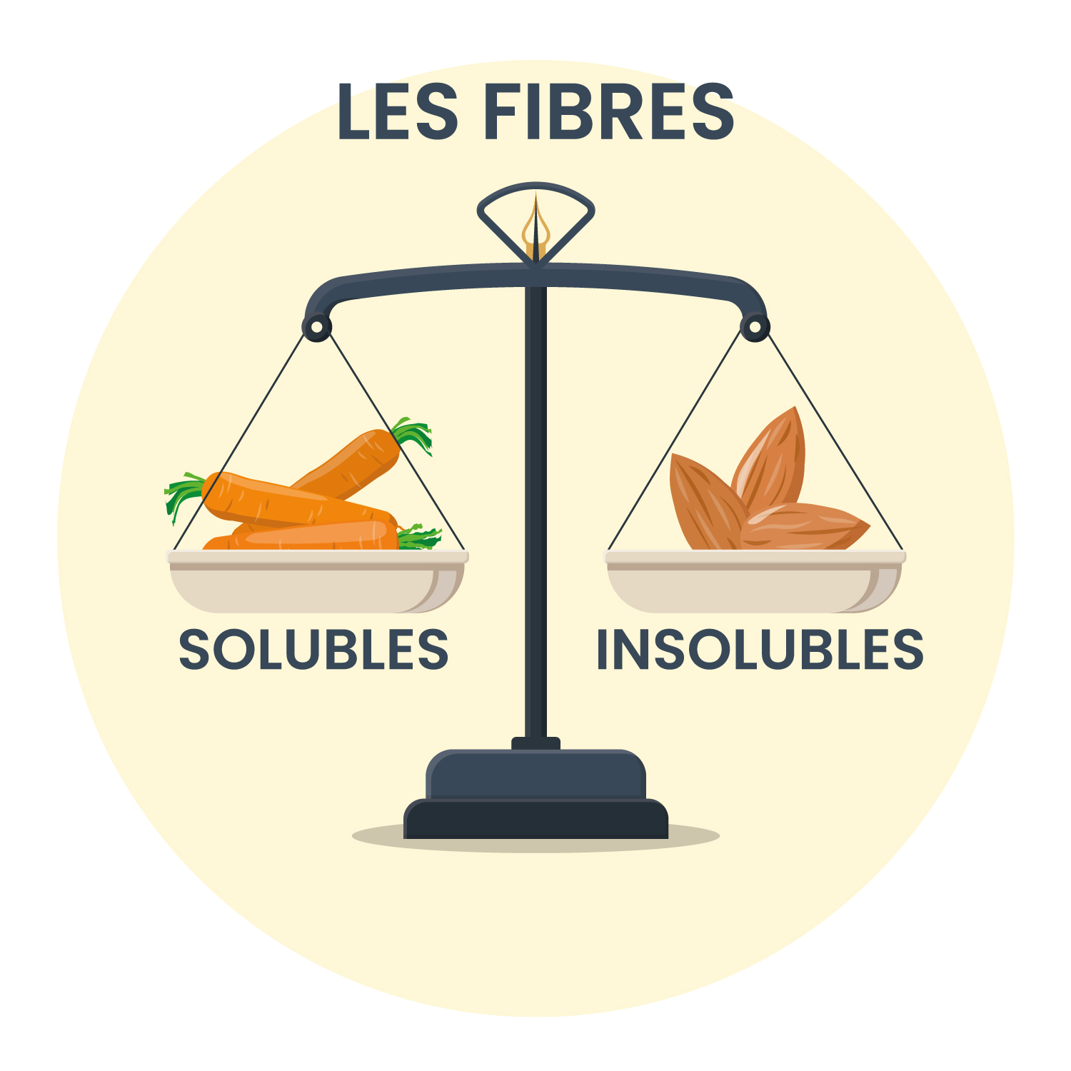 Les Fibres Alimentaires PDF, PDF, Fibre alimentaire