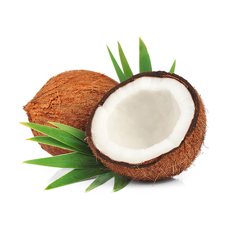 Noix de Coco : utilisations et bienfaits nutritionnels