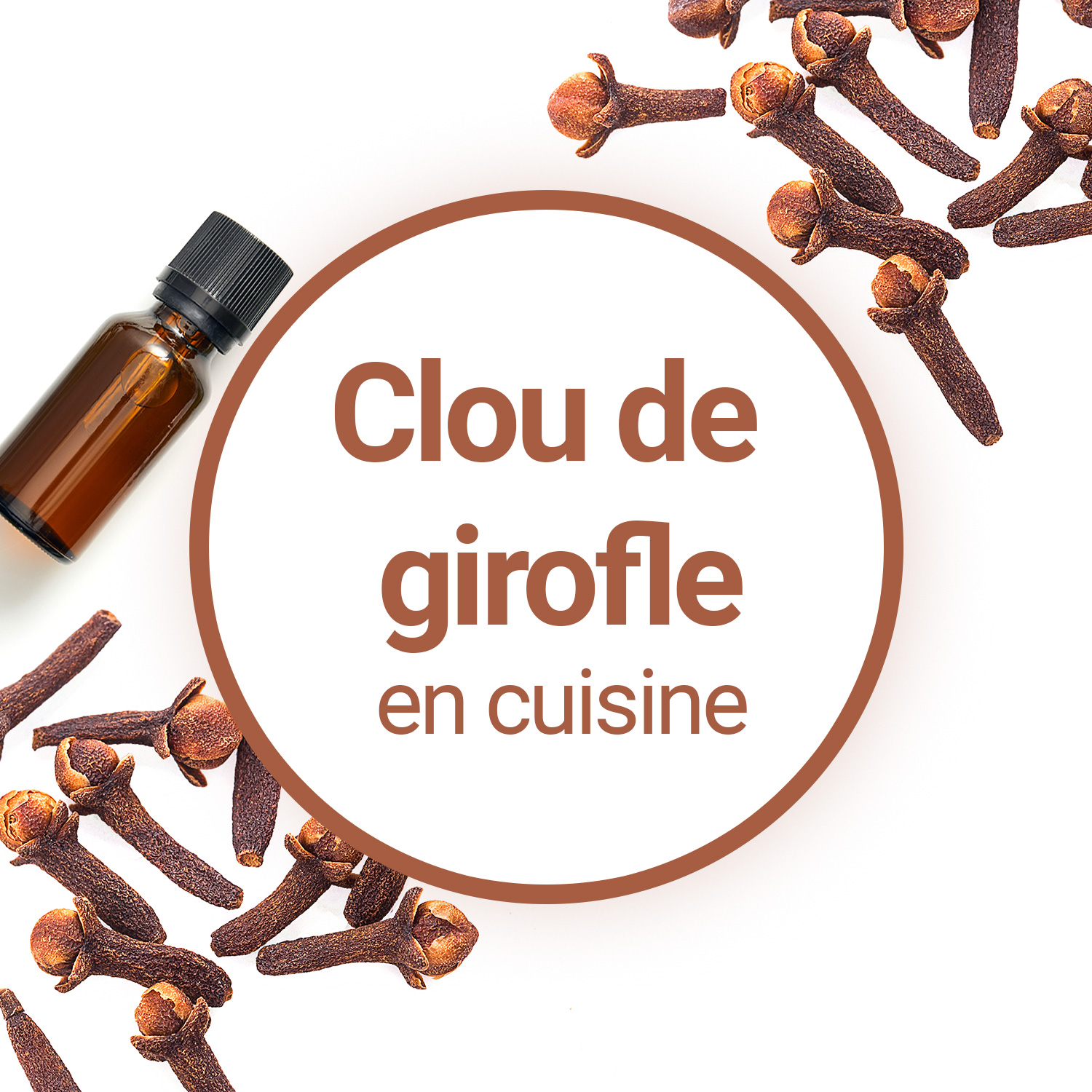 Quelques clous de girofle suffisent à parfumer vos recettes de cuisine et  desserts