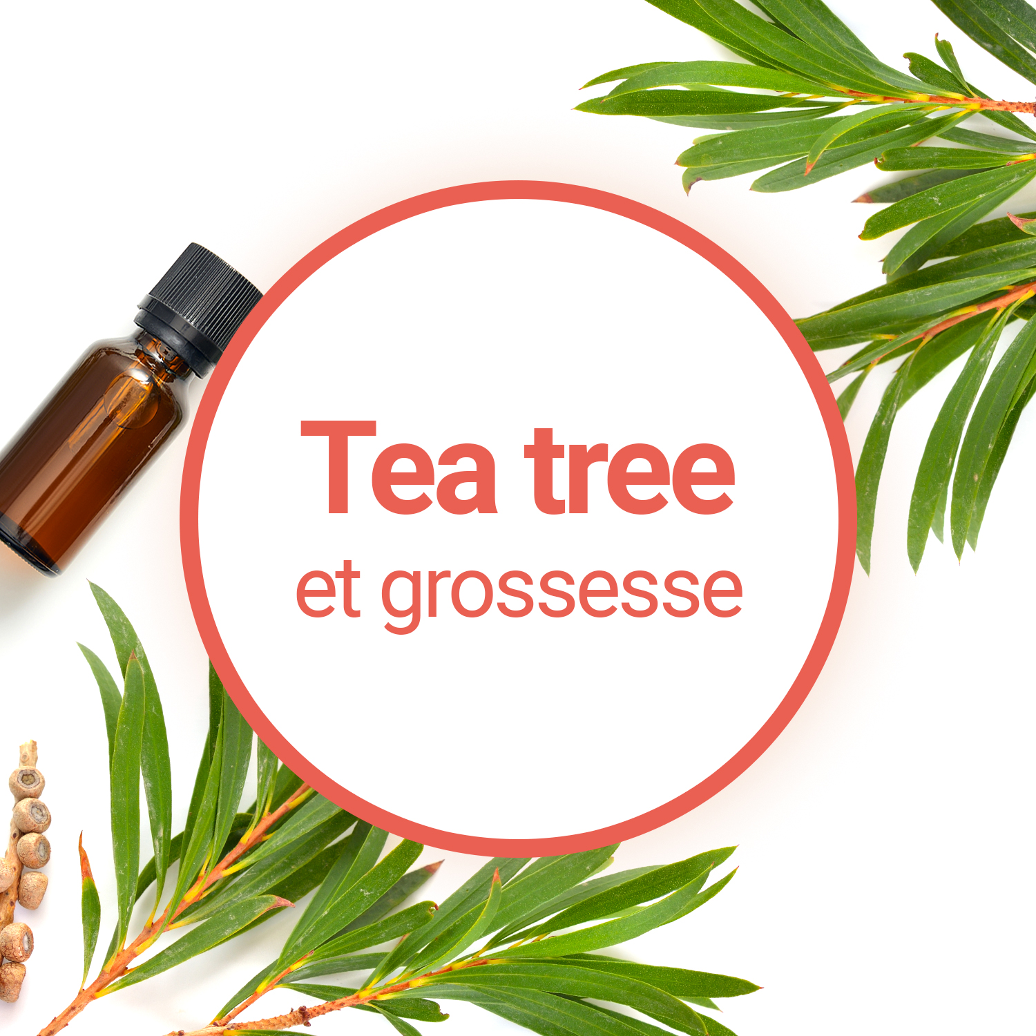 Quels sont les dangers de l'huile de tea tree ?