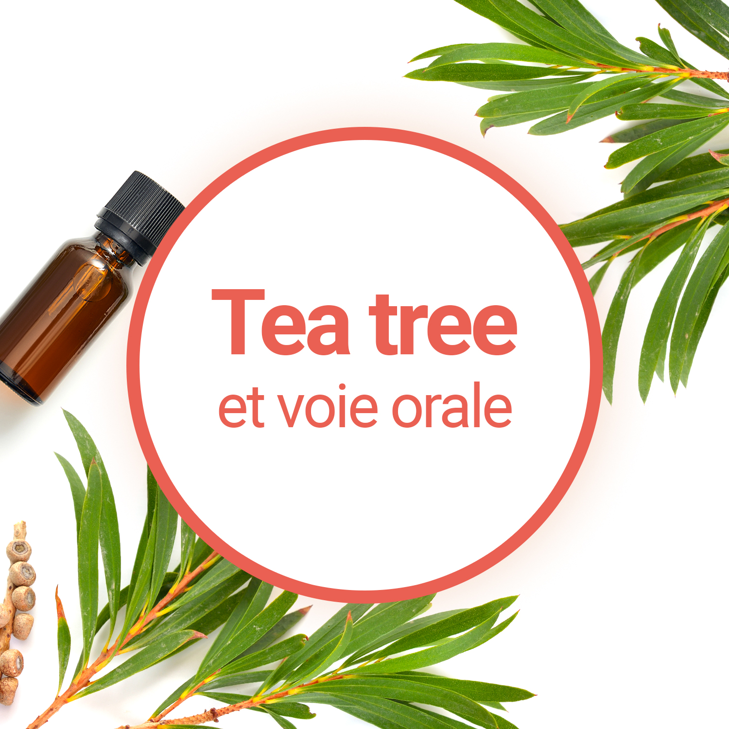 Huile Essentielle de Tea-tree