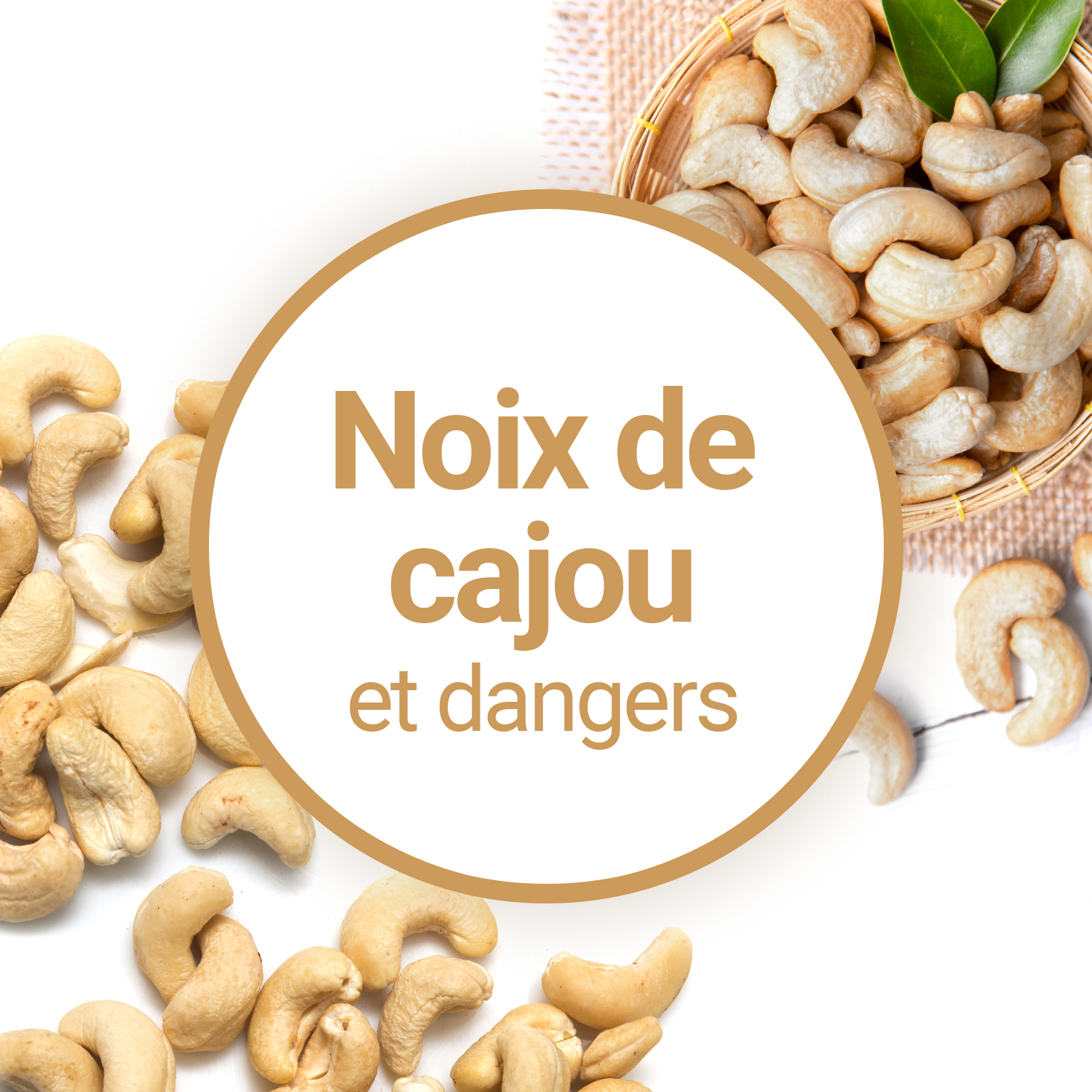 Y a-t-il un danger à consommer des noix de cajou ?