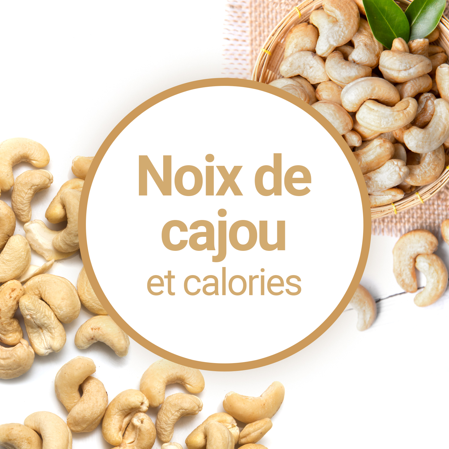 Les noix de Cajou sont-elles riches en calories ?