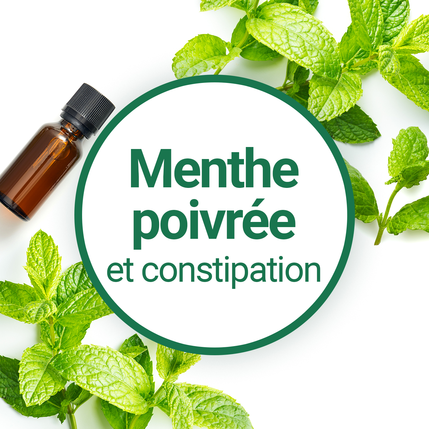 L'huile essentielle de Menthe Poivrée en cas de constipation