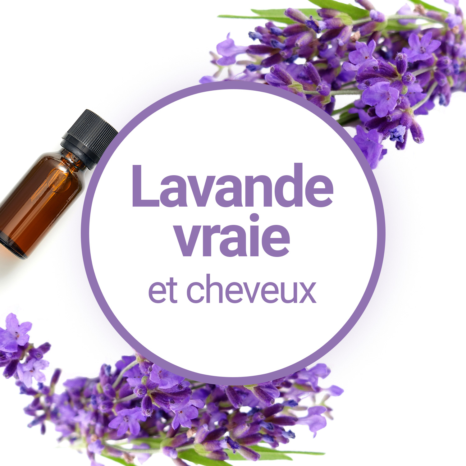 Les bienfaits de l'huile essentielle de Lavande Vraie pour les cheveux