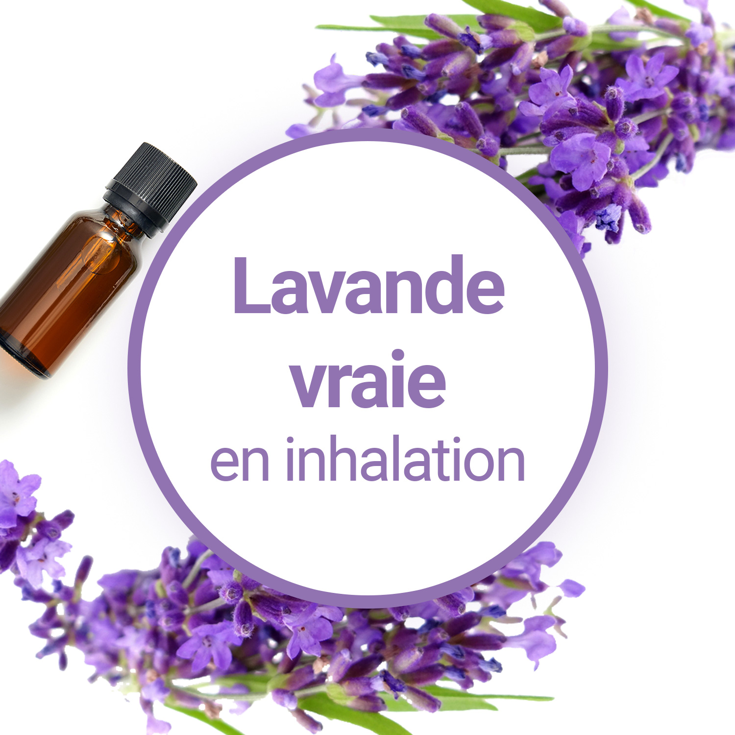 L'huile essentielle de Lavande Vraie en diffusion et en inhalation