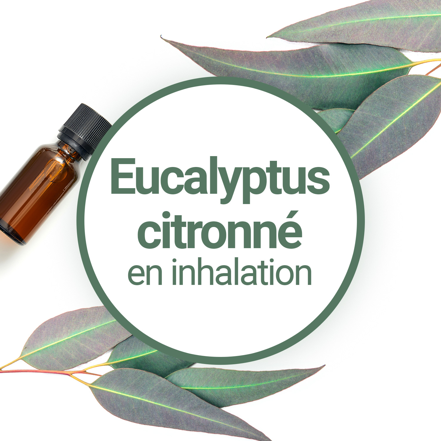 Inhalation aux huiles essentielles, A respirer par le nez