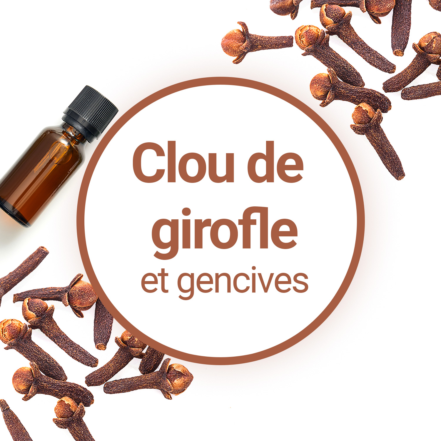 Le clou de girofle : pour l'hygiène bucco-dentaire