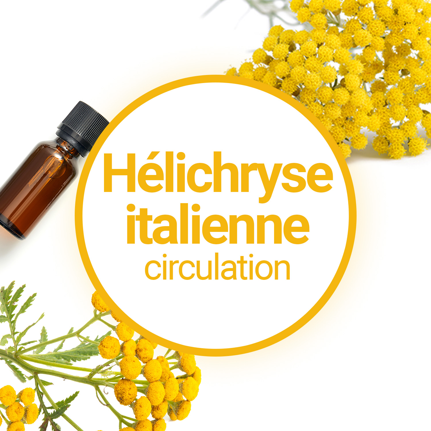 Huile essentielle d'Hélichryse Italienne de Provence bio 2,5ml