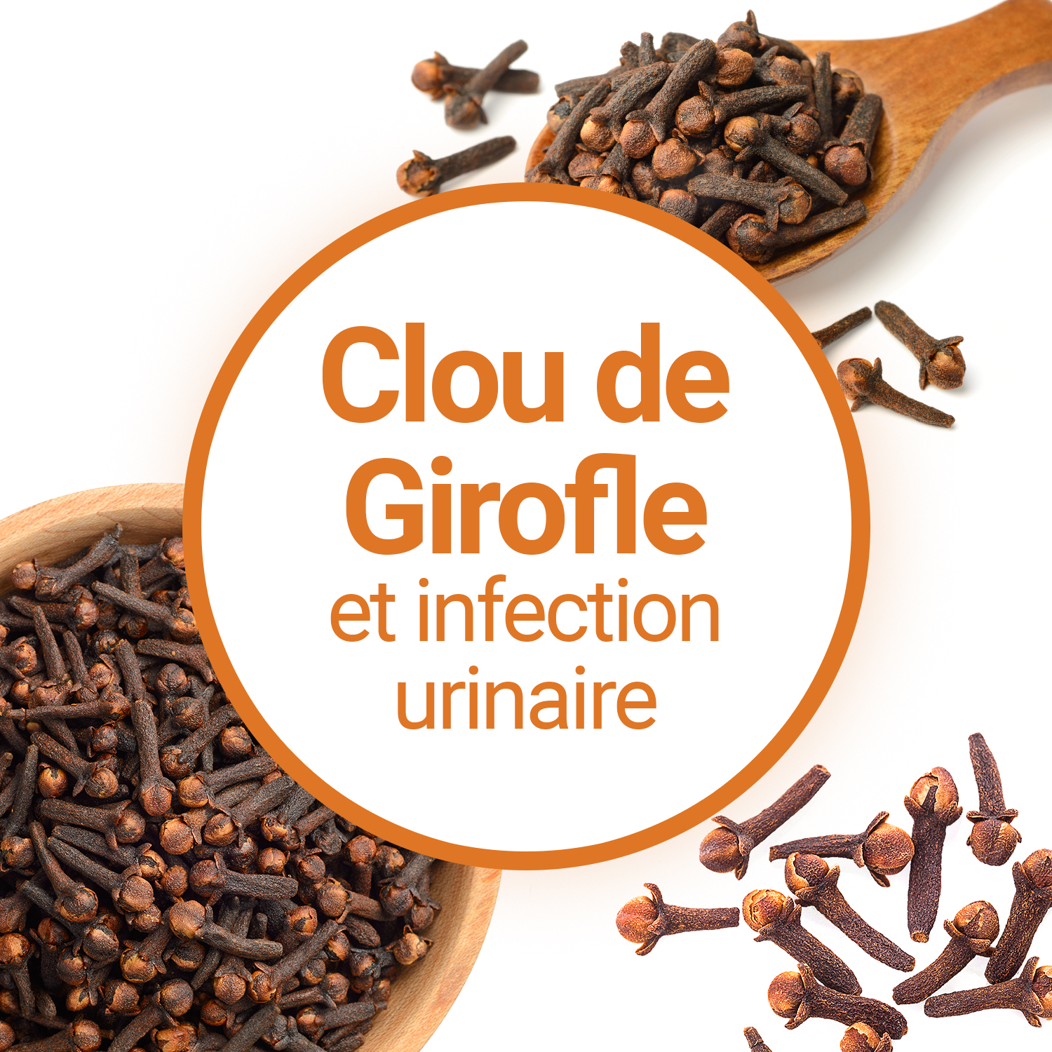 Infusion de Clous de girofle contre les infections urinaires