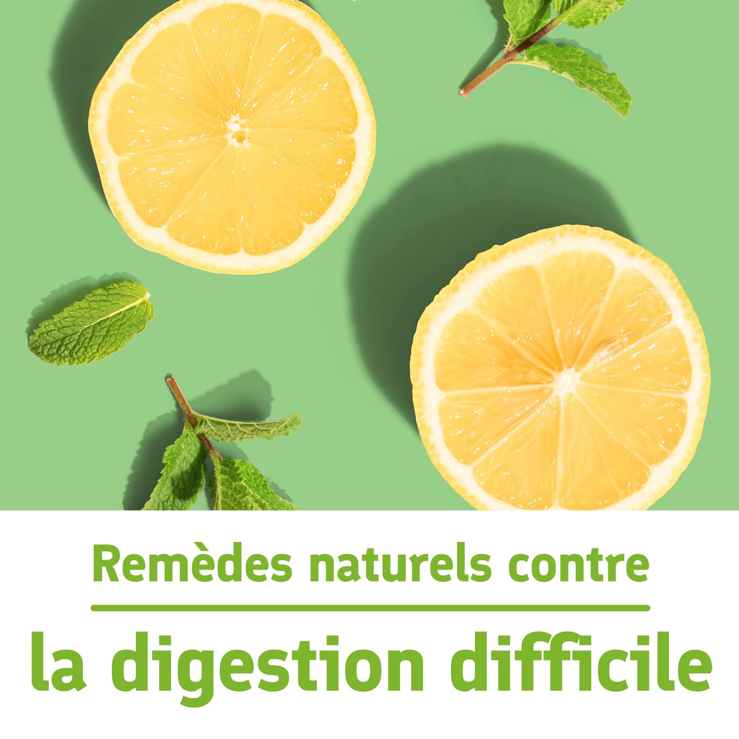 Thé de désintoxication - entièrement naturel, soutient le poids santé, aide  à réduire les ballonnements