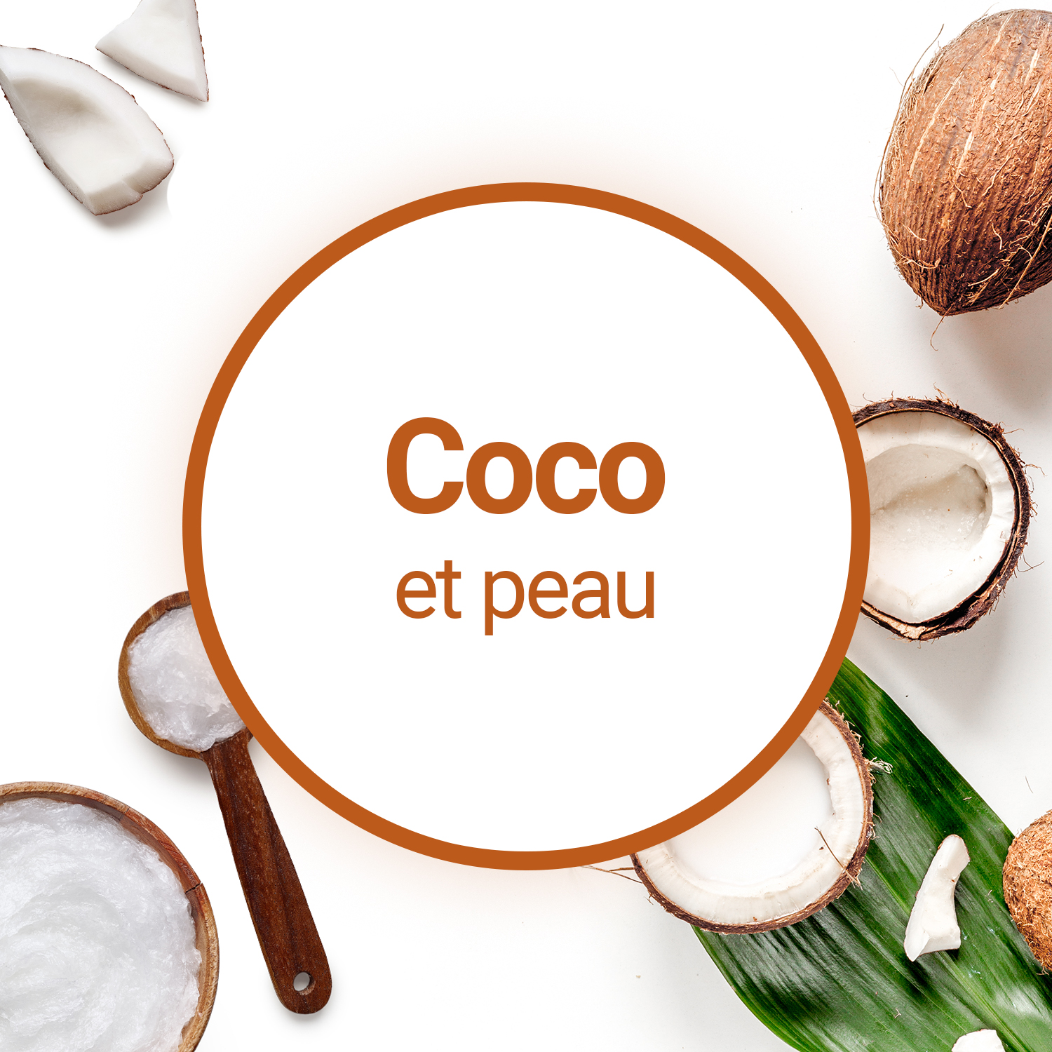 Les bienfaits de l'huile de Coco pour la peau