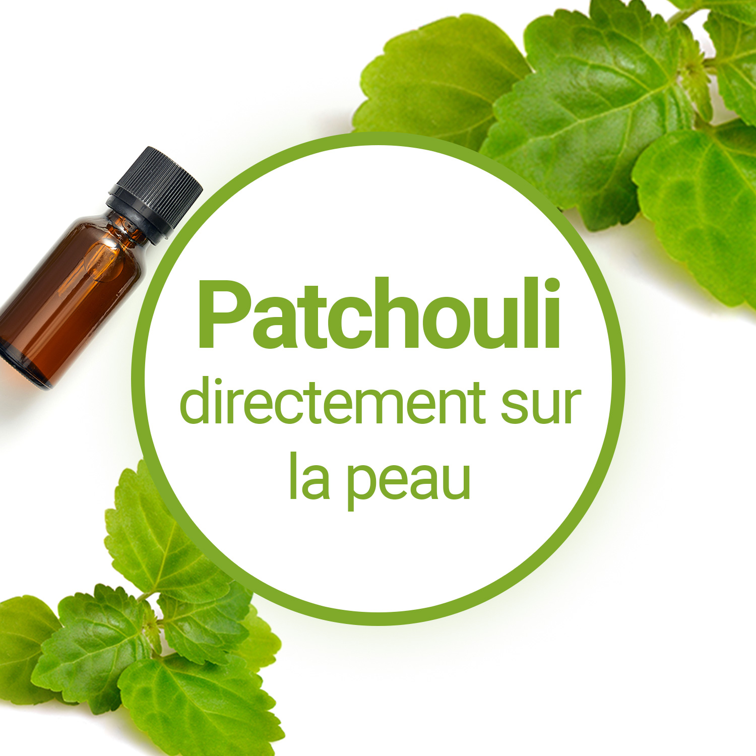 Huile essentielle de Patchouli : propriétés et utilisations