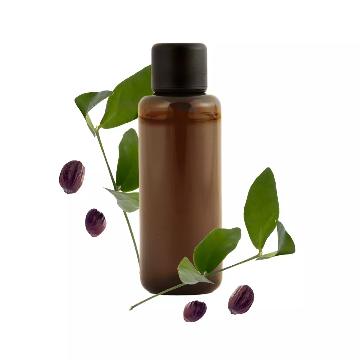 L'huile de Jojoba est-elle dangereuse ? Ce que disent les études