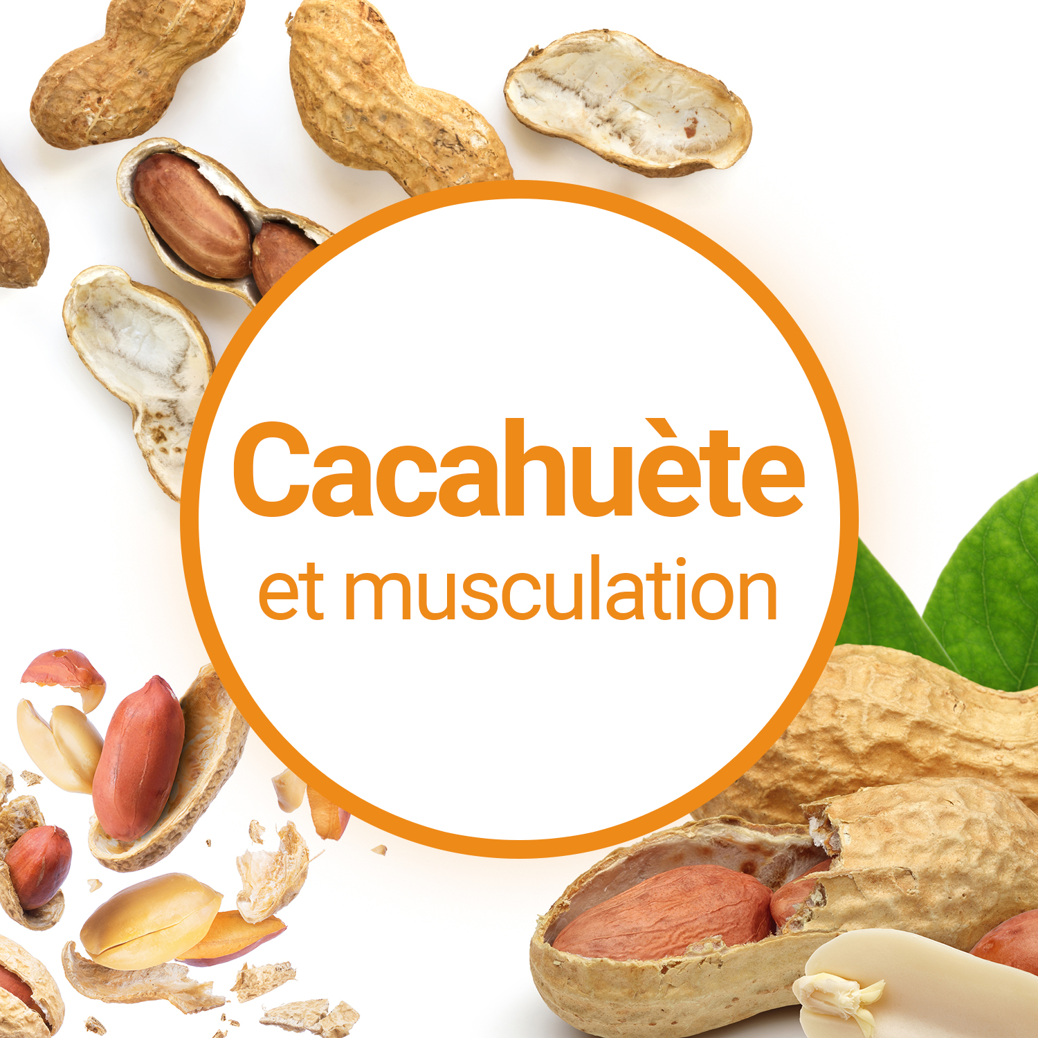 5 bienfaits nutritionnels santé et musculation du beurre de cacahuète