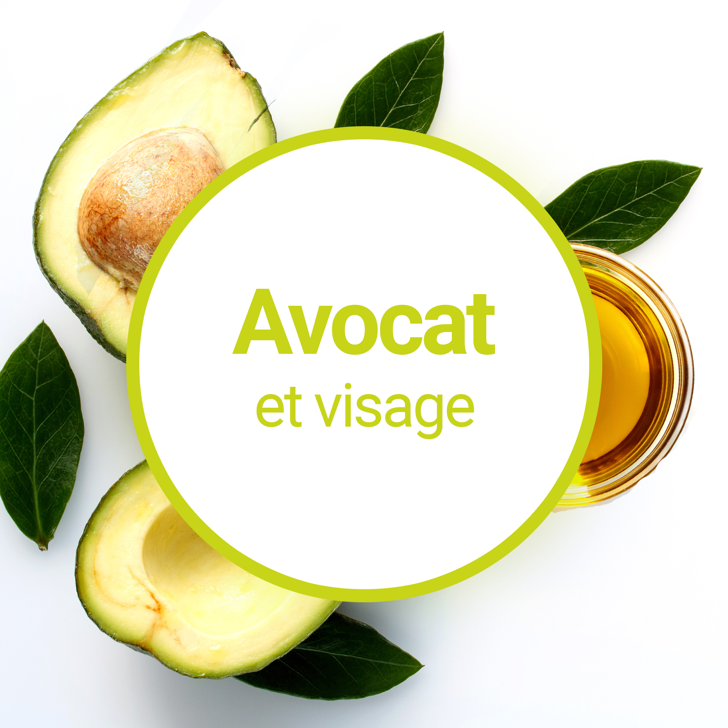 Avocat : bienfaits pour la santé et la peau, recettes