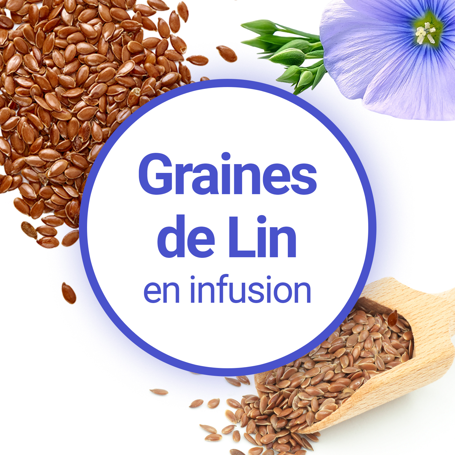 Graines de lin brunes - Achat, bienfaits et utilisation