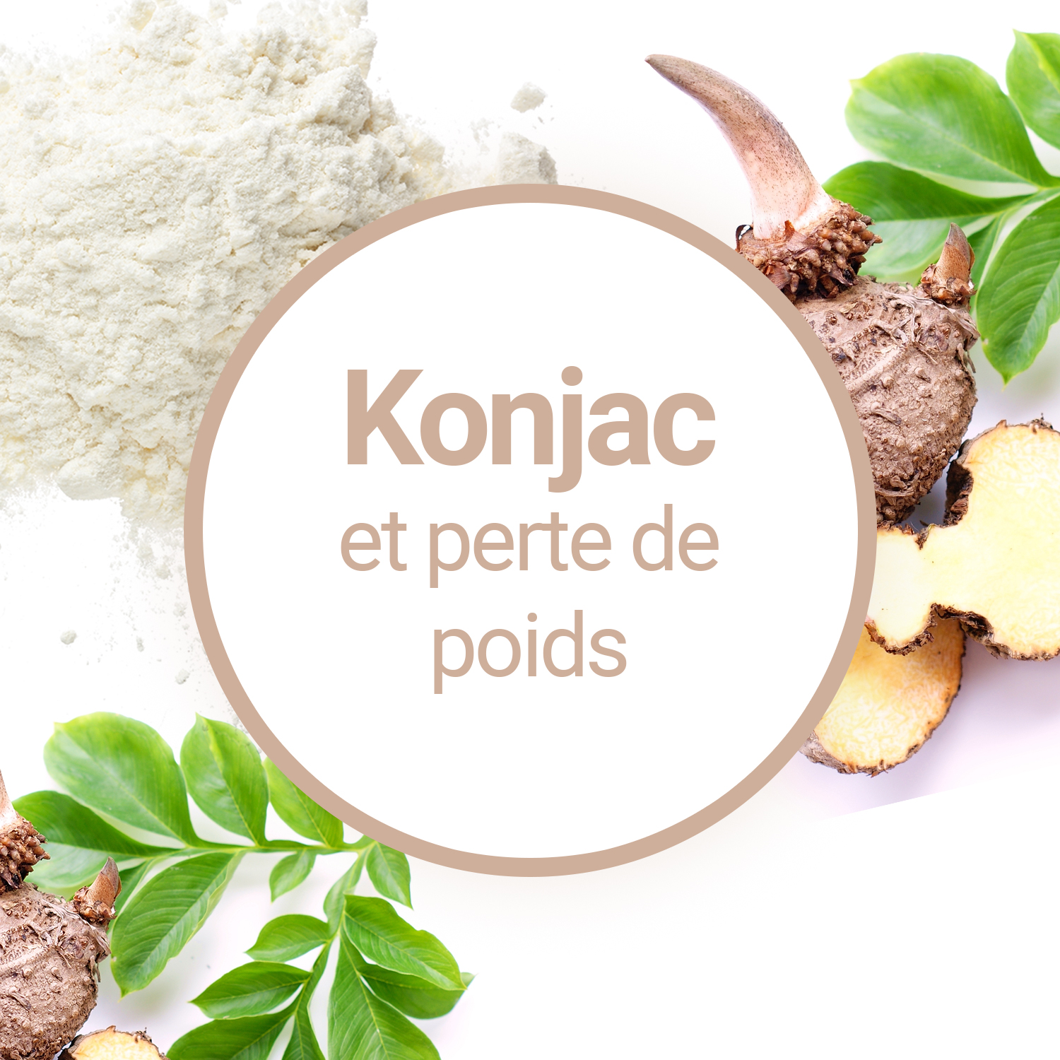 Les bienfaits du Glucomannane (Konjac)