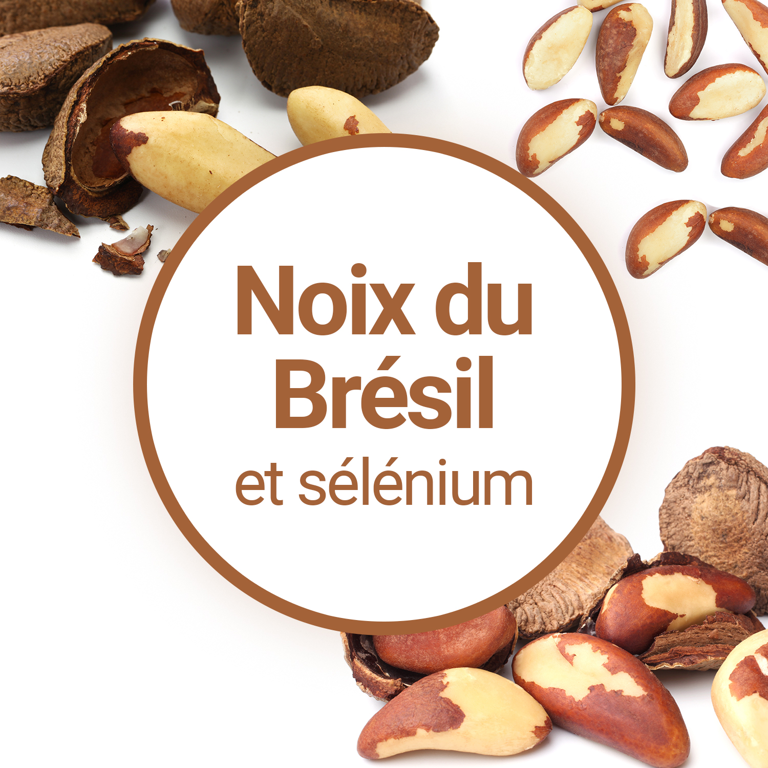 La noix du Brésil, source de sélénium