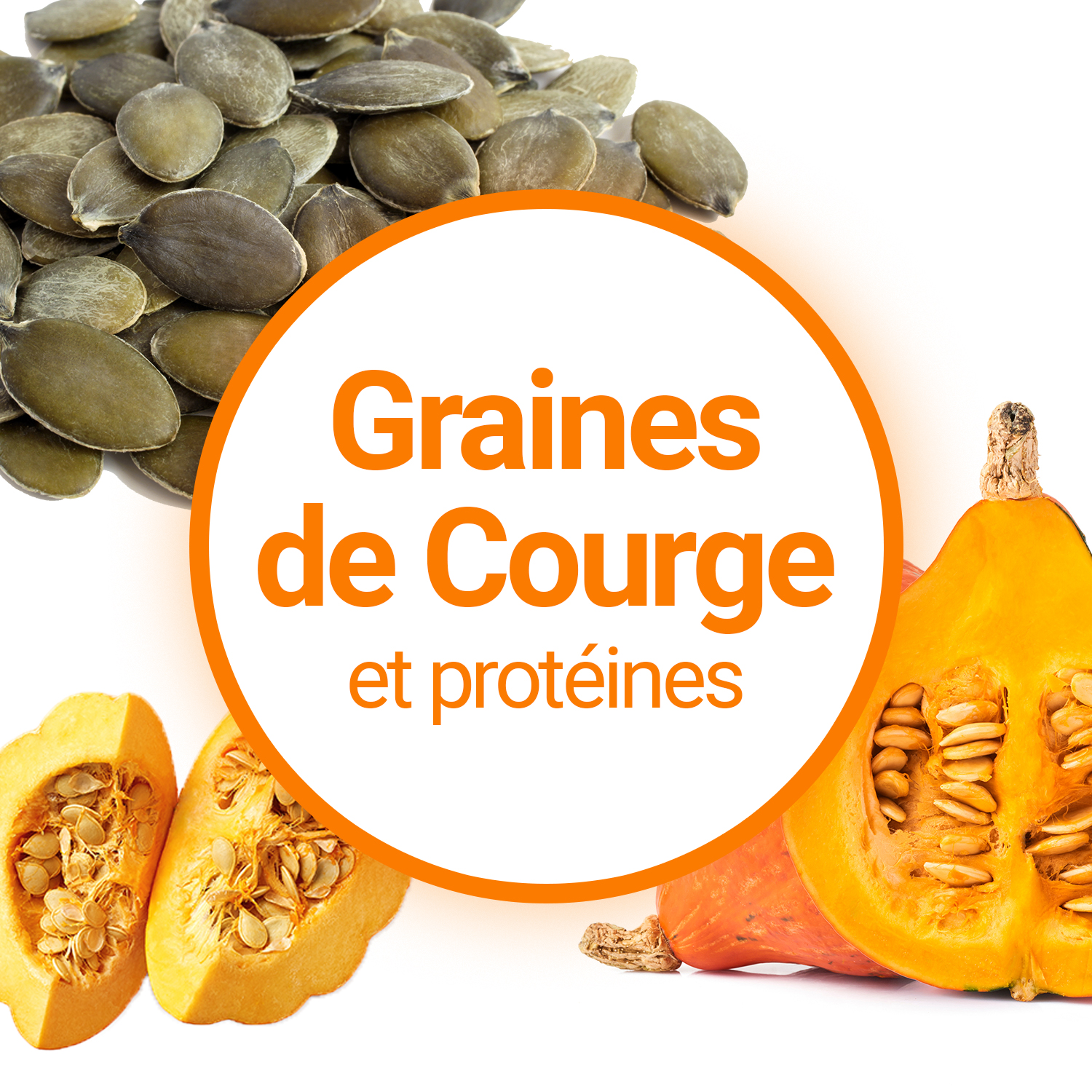 Protéine de pépin/graine de courge : à découvrir !