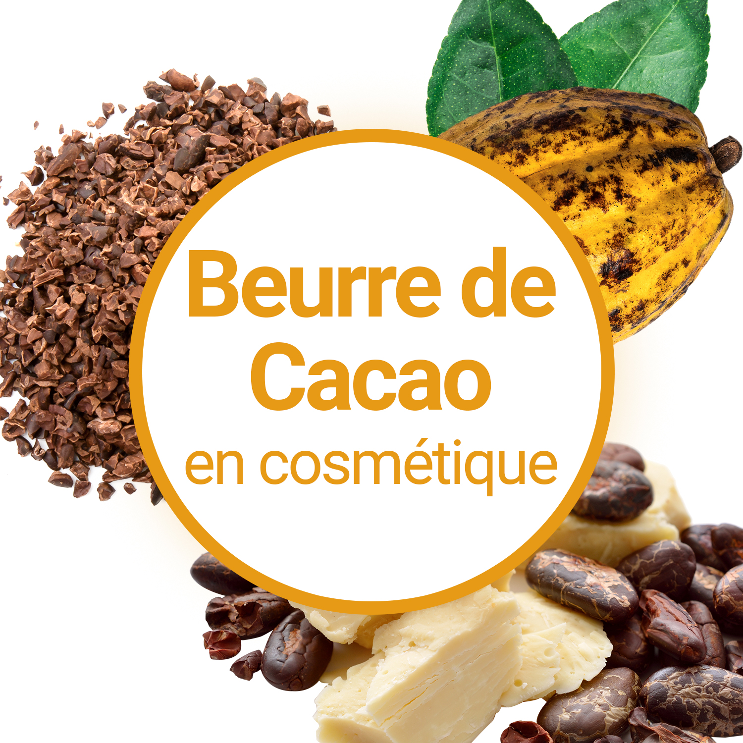 Beurre de cacao désodorisé en morceaux - Actibio Cosmetics