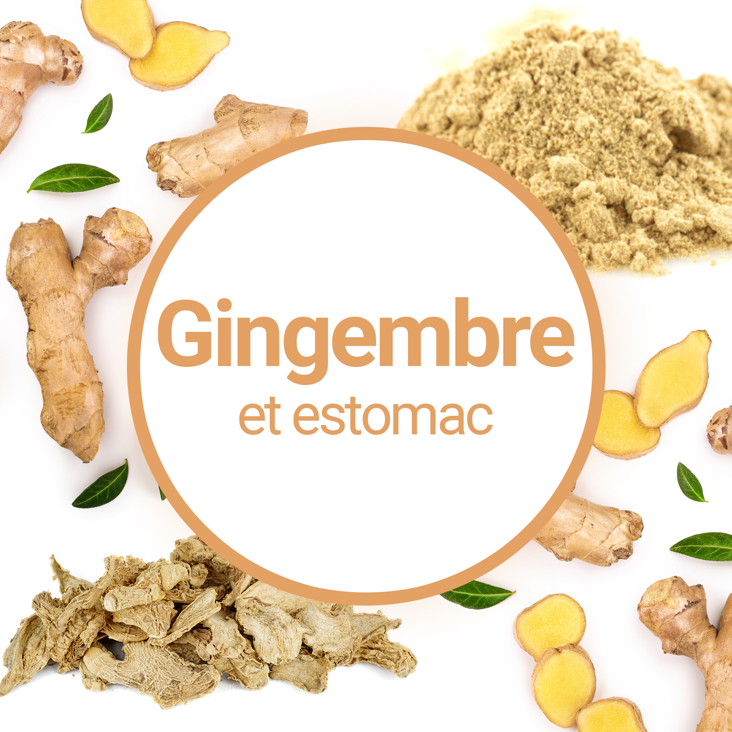 Eau de gingembre : le remède à adopter pour nettoyer son foie